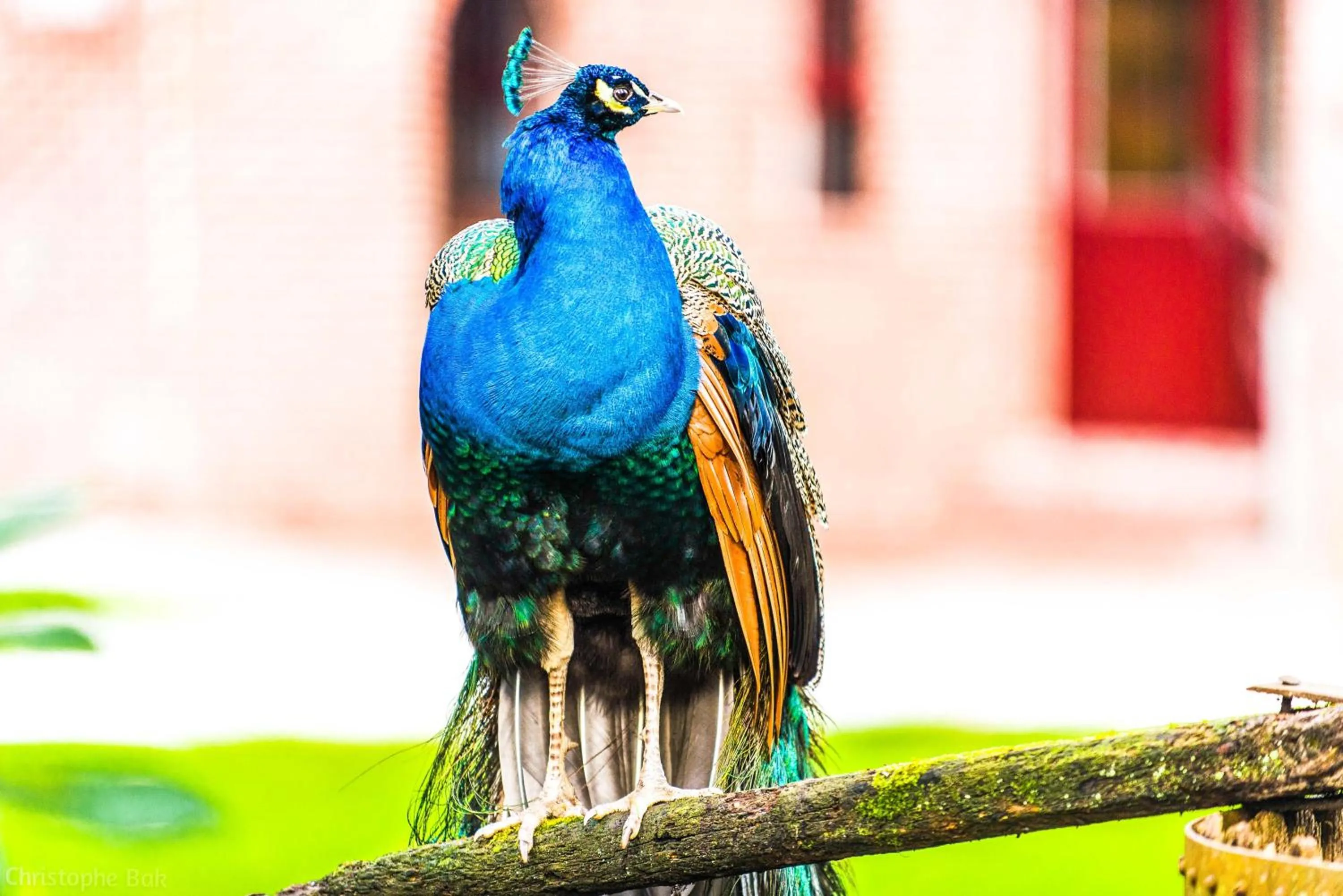 Other in Les Jardins d'Epicure