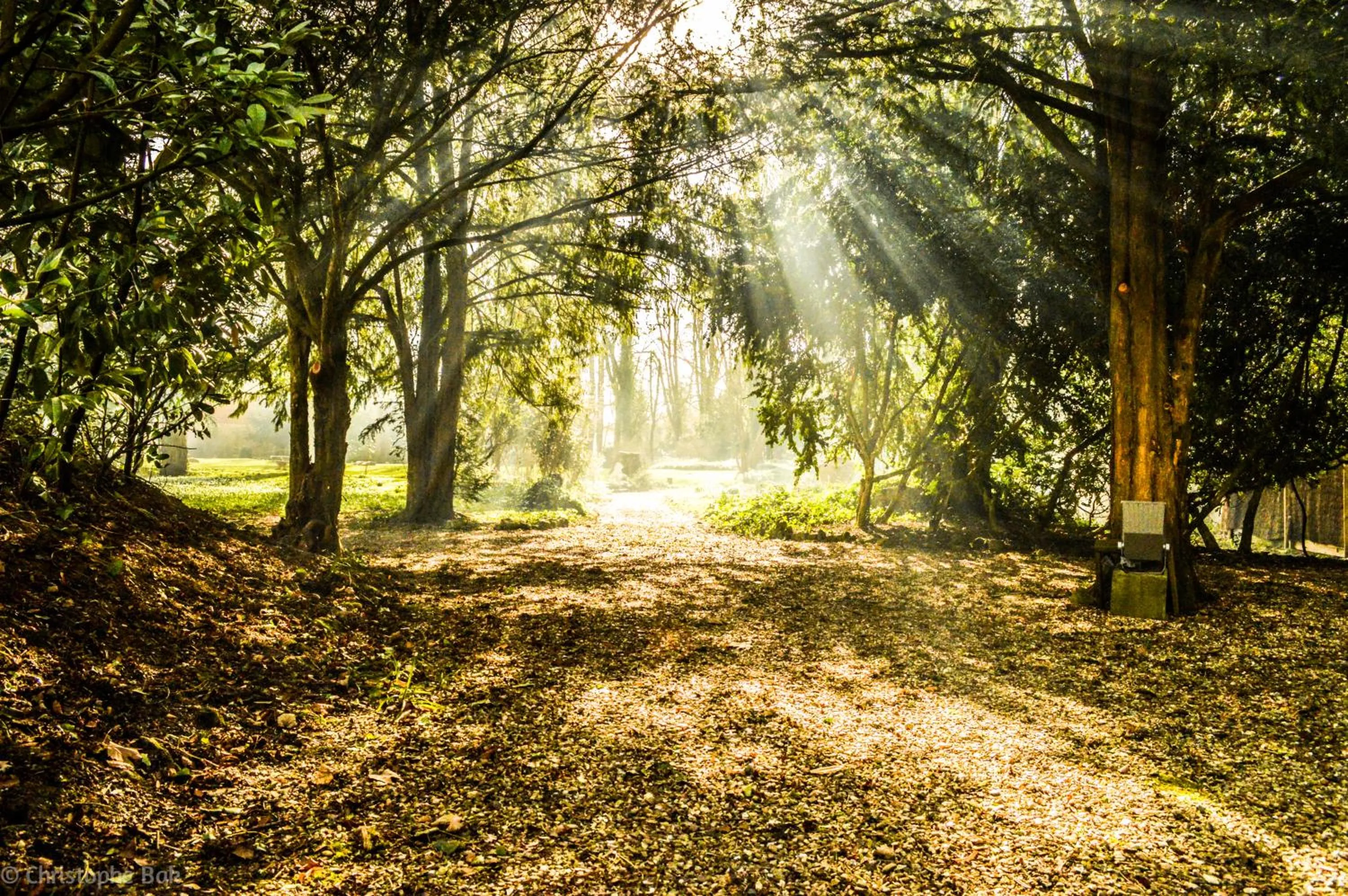 Garden in Les Jardins d'Epicure