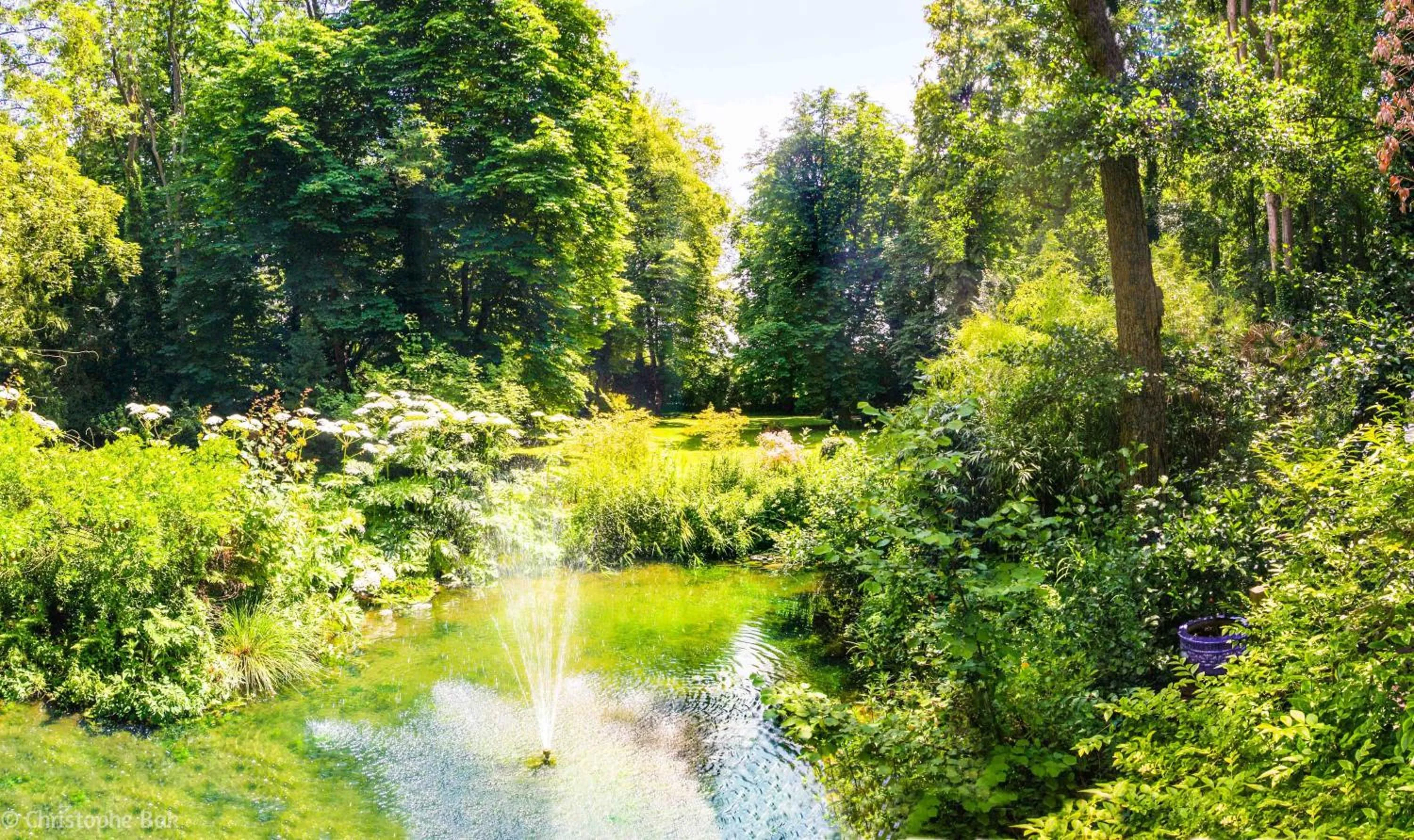 Garden in Les Jardins d'Epicure