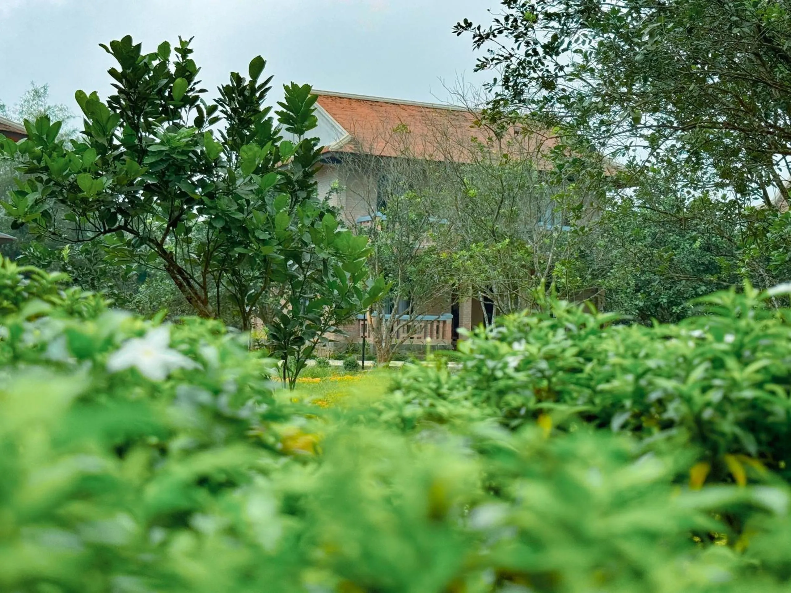 Property building in Hue Ecolodge