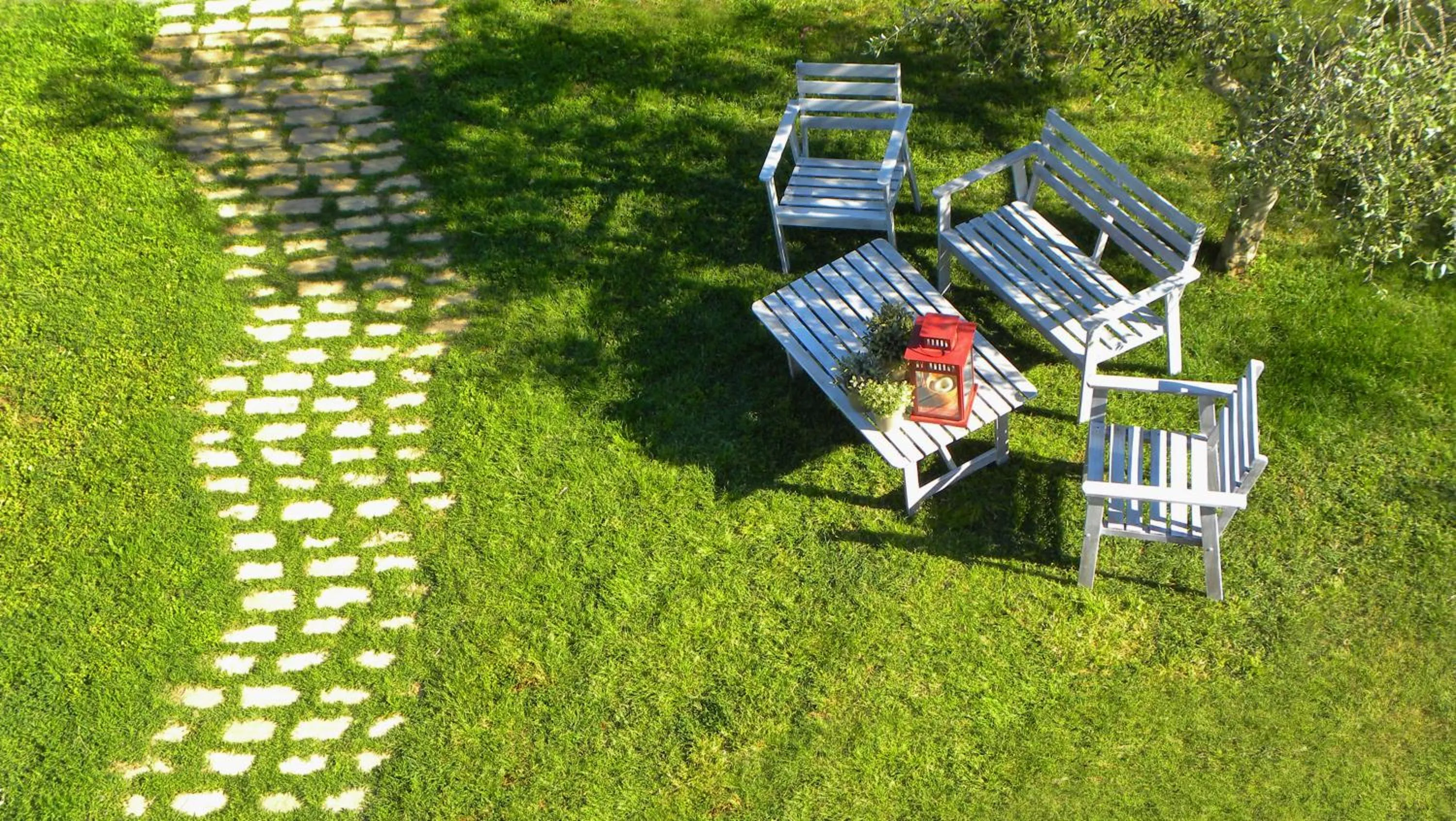 Bird's eye view in Macchiabuia