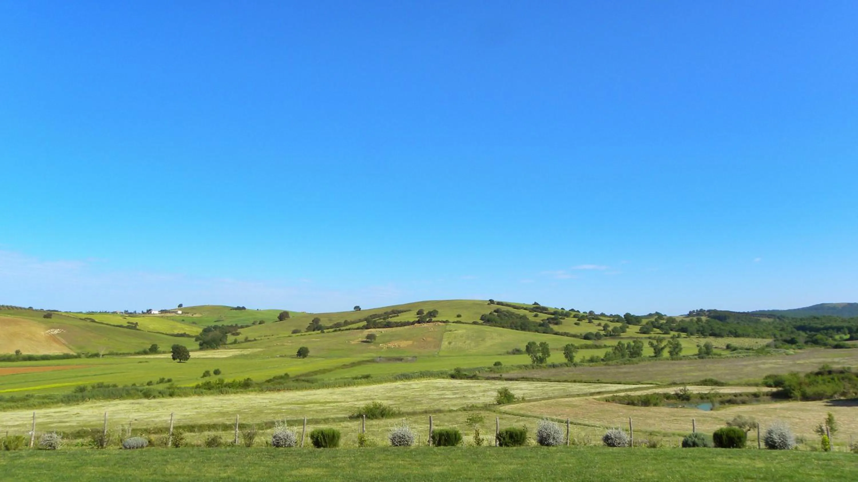 Garden in Macchiabuia