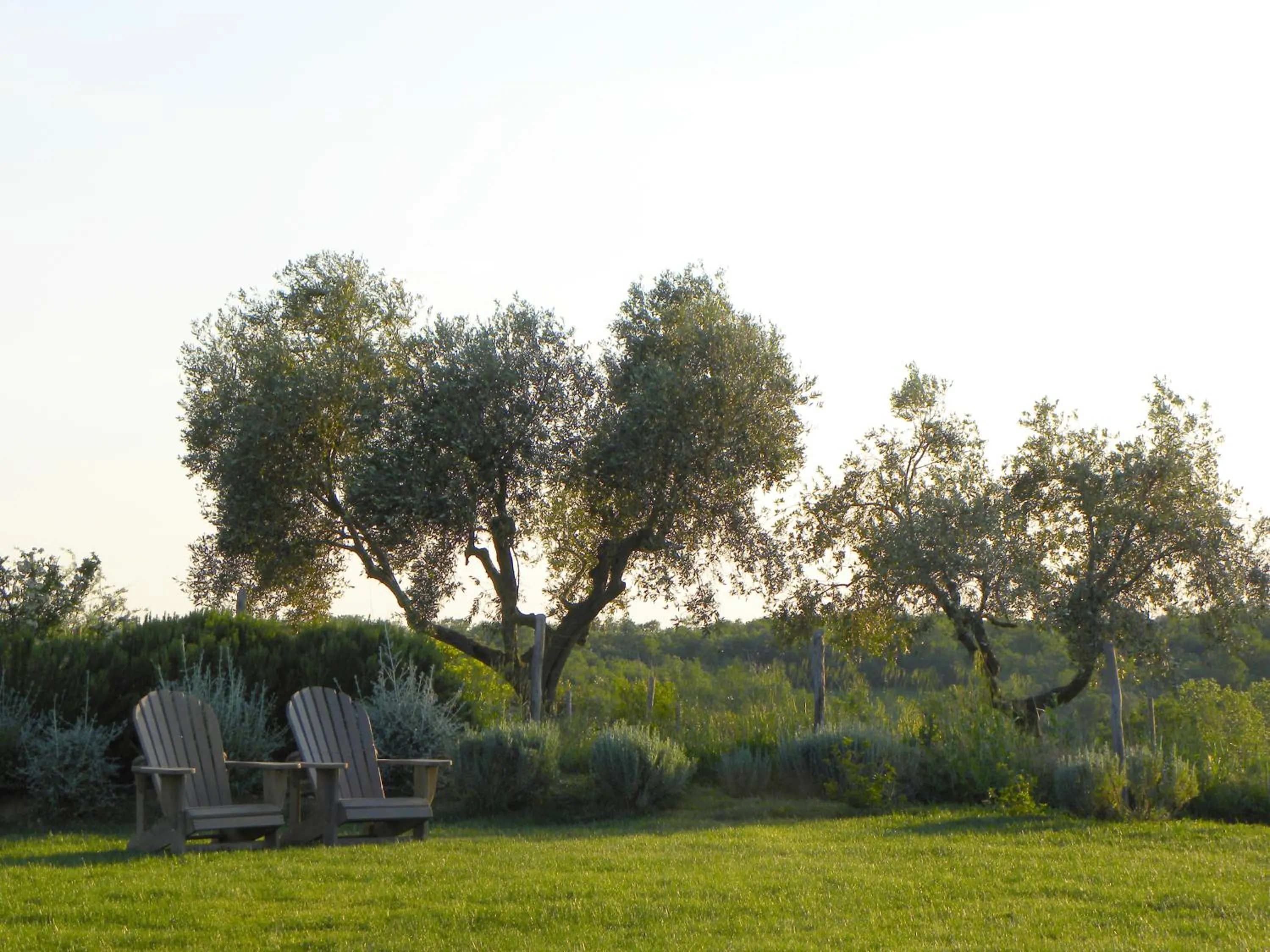 Garden in Macchiabuia
