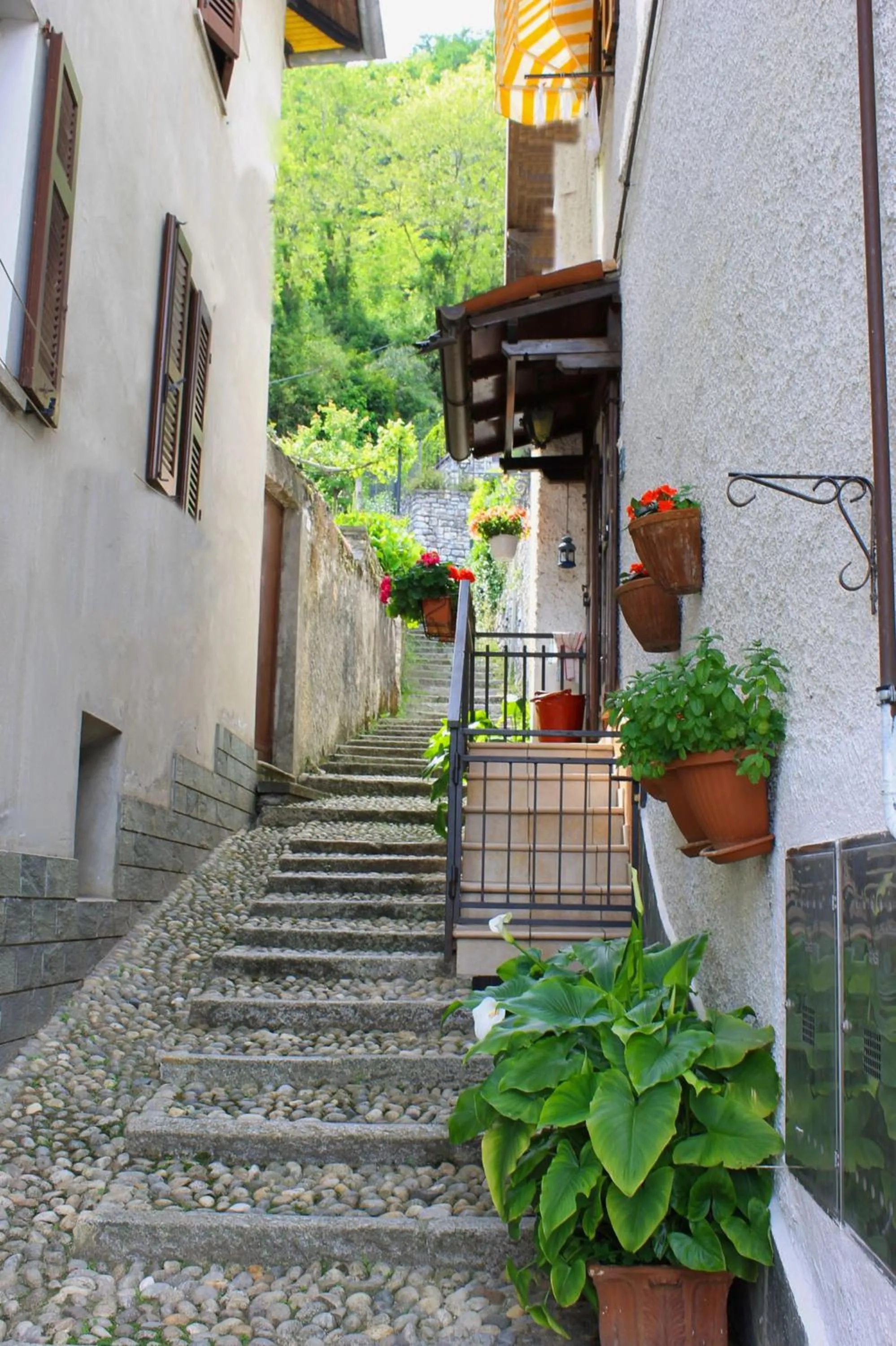 Nearby landmark in La Piazzetta