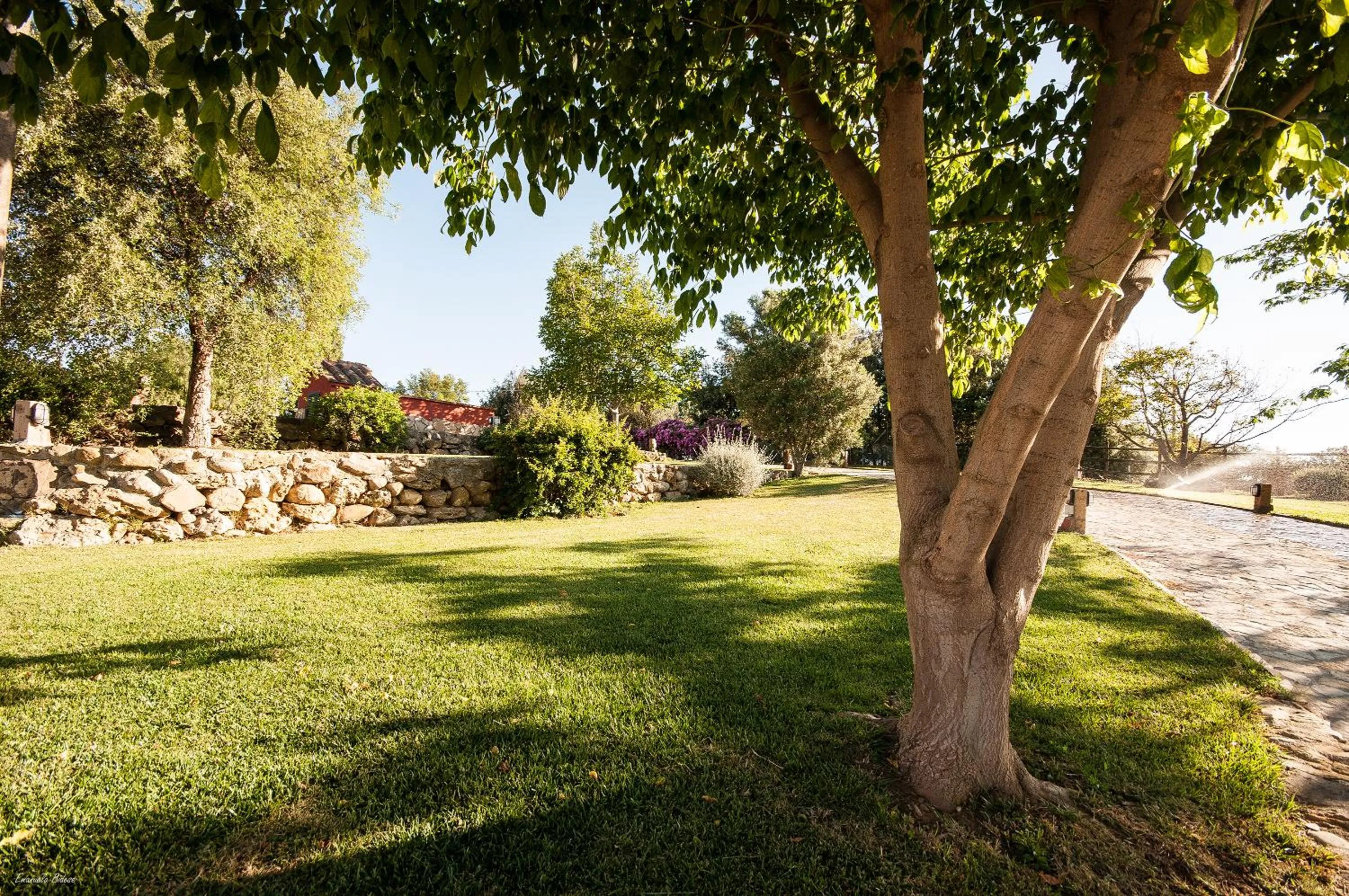 Garden in Casalventodimare e Tramontana