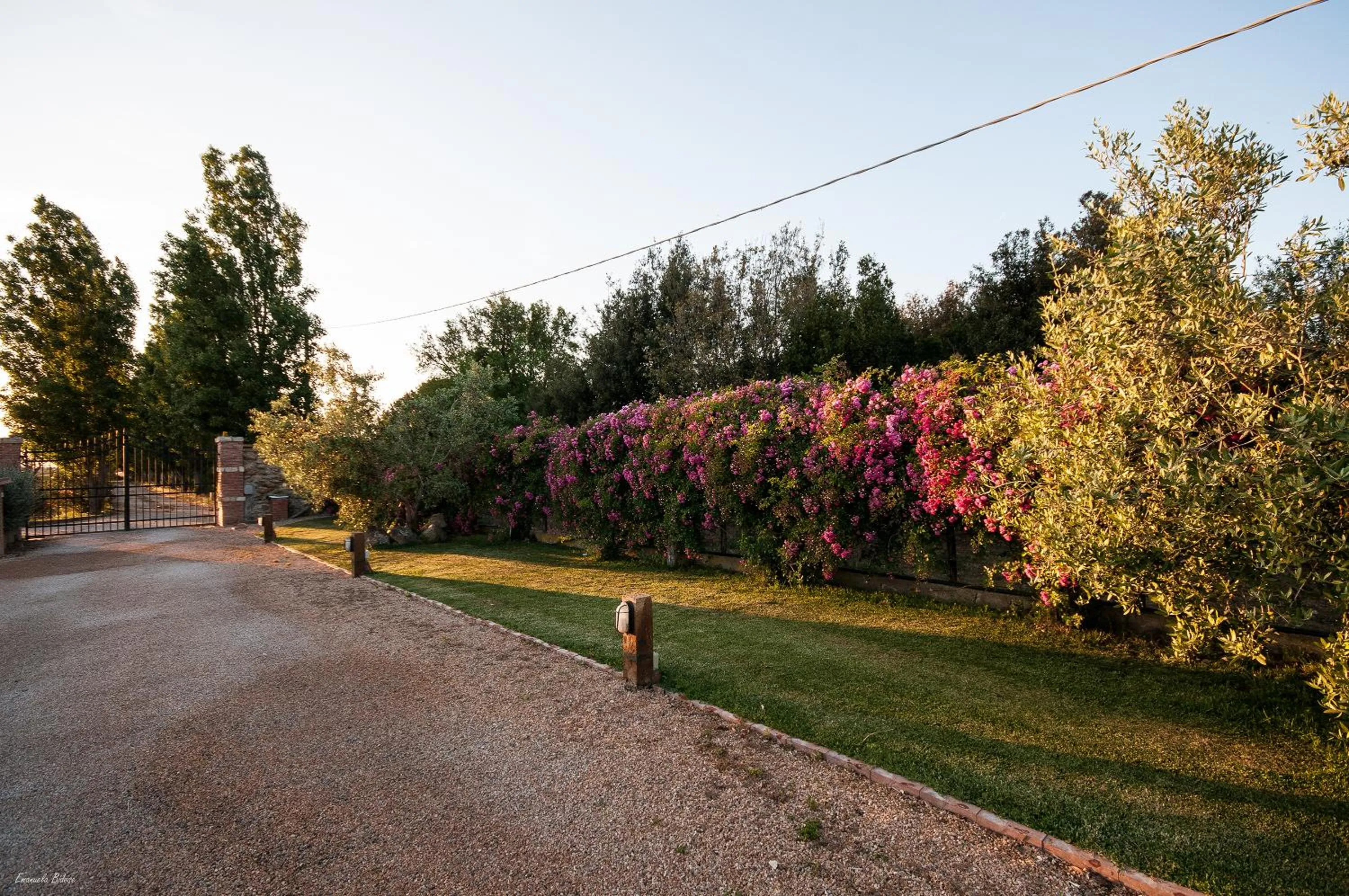 Garden in Casalventodimare e Tramontana