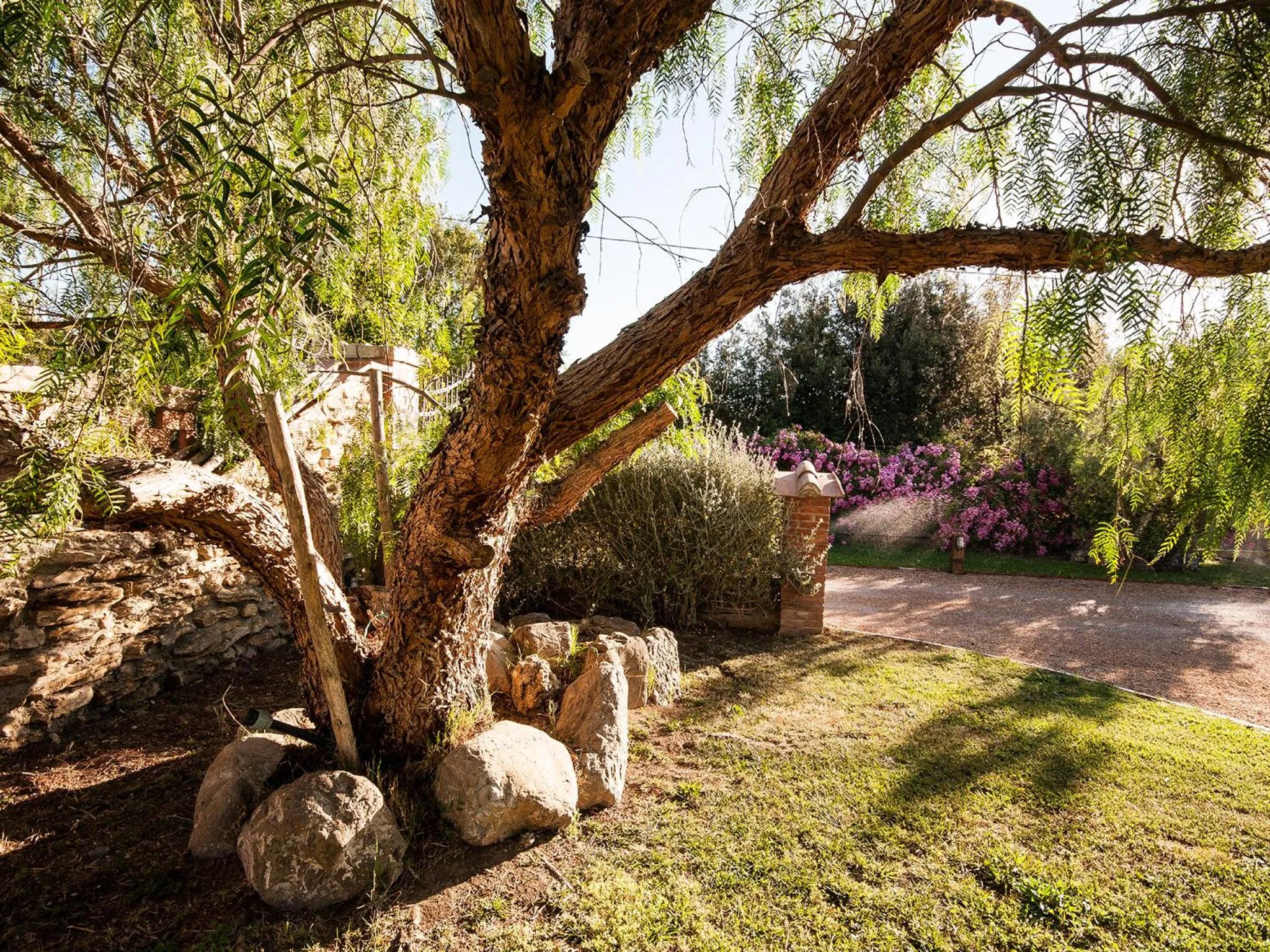 Garden in Casalventodimare e Tramontana