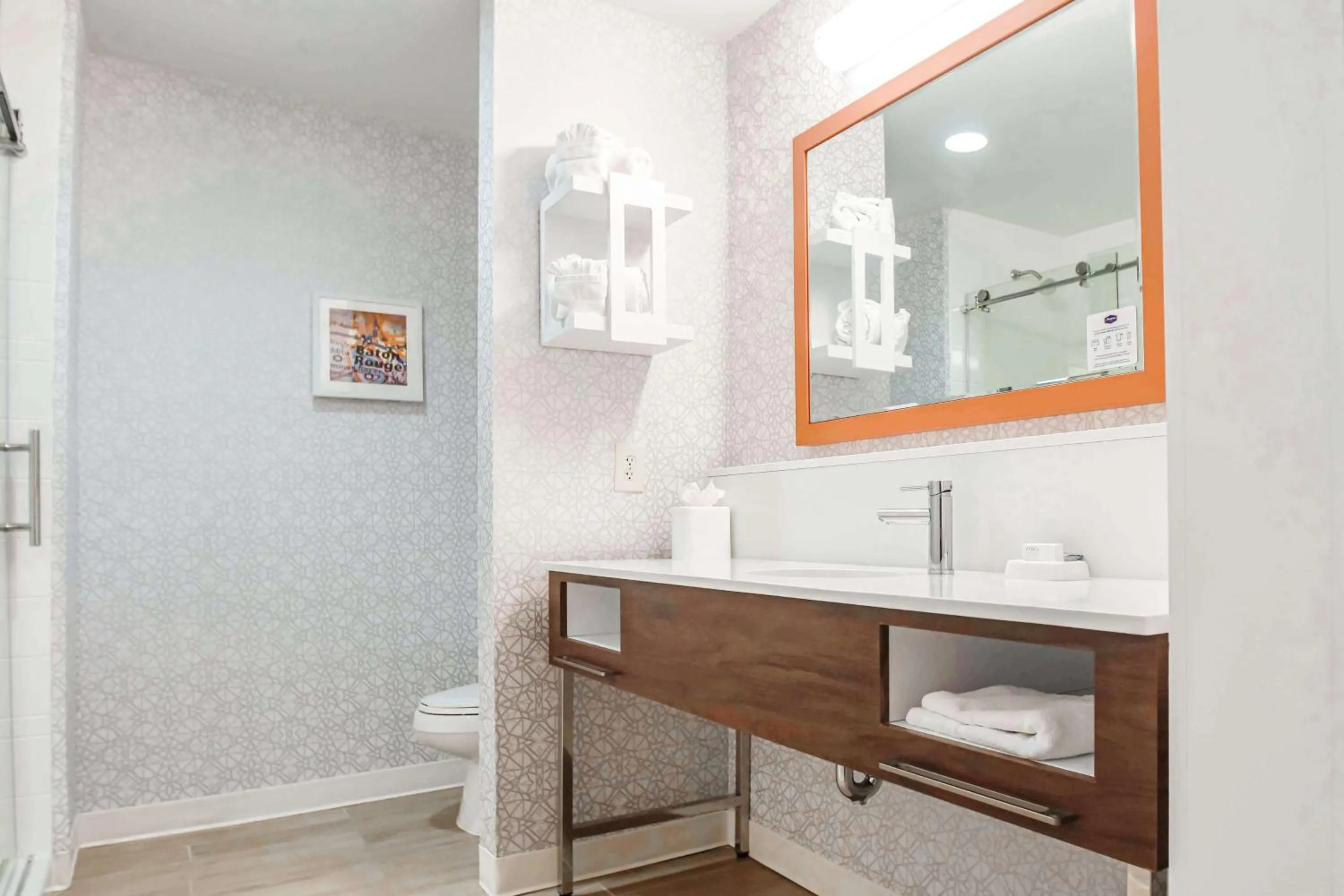 Bathroom in Hampton Inn Baton Rouge - Denham Springs