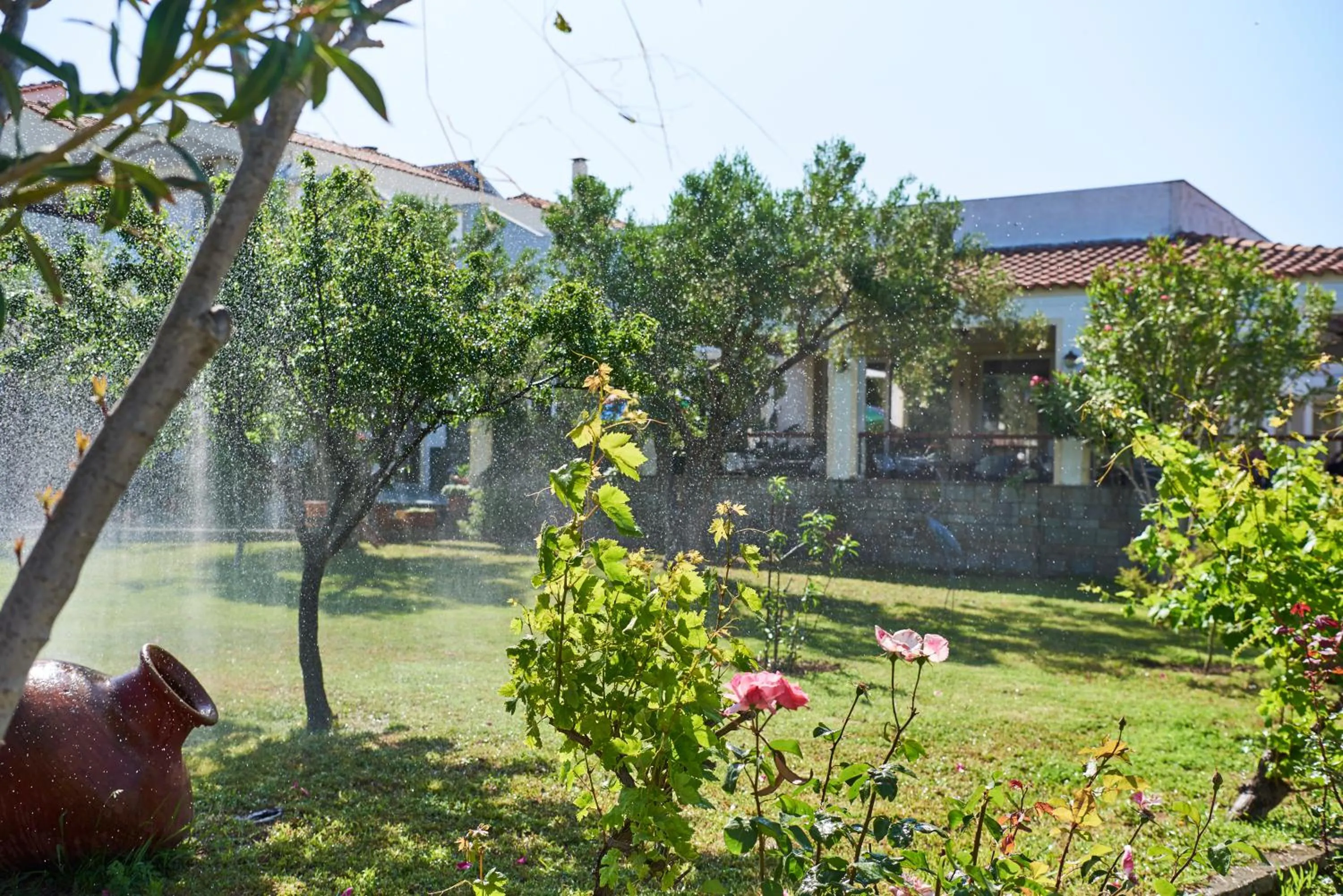 Garden in Kalloni Bay