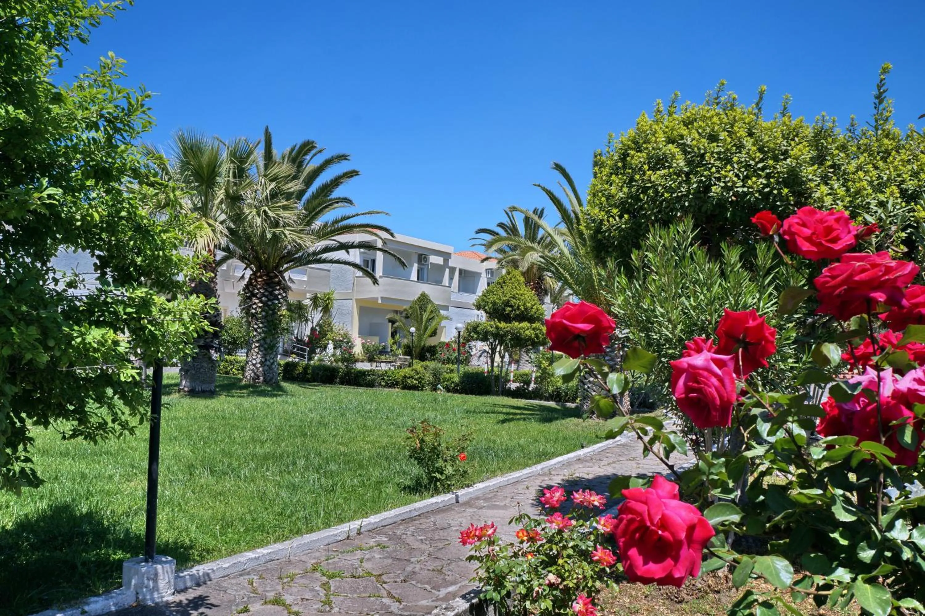 Garden in Kalloni Bay