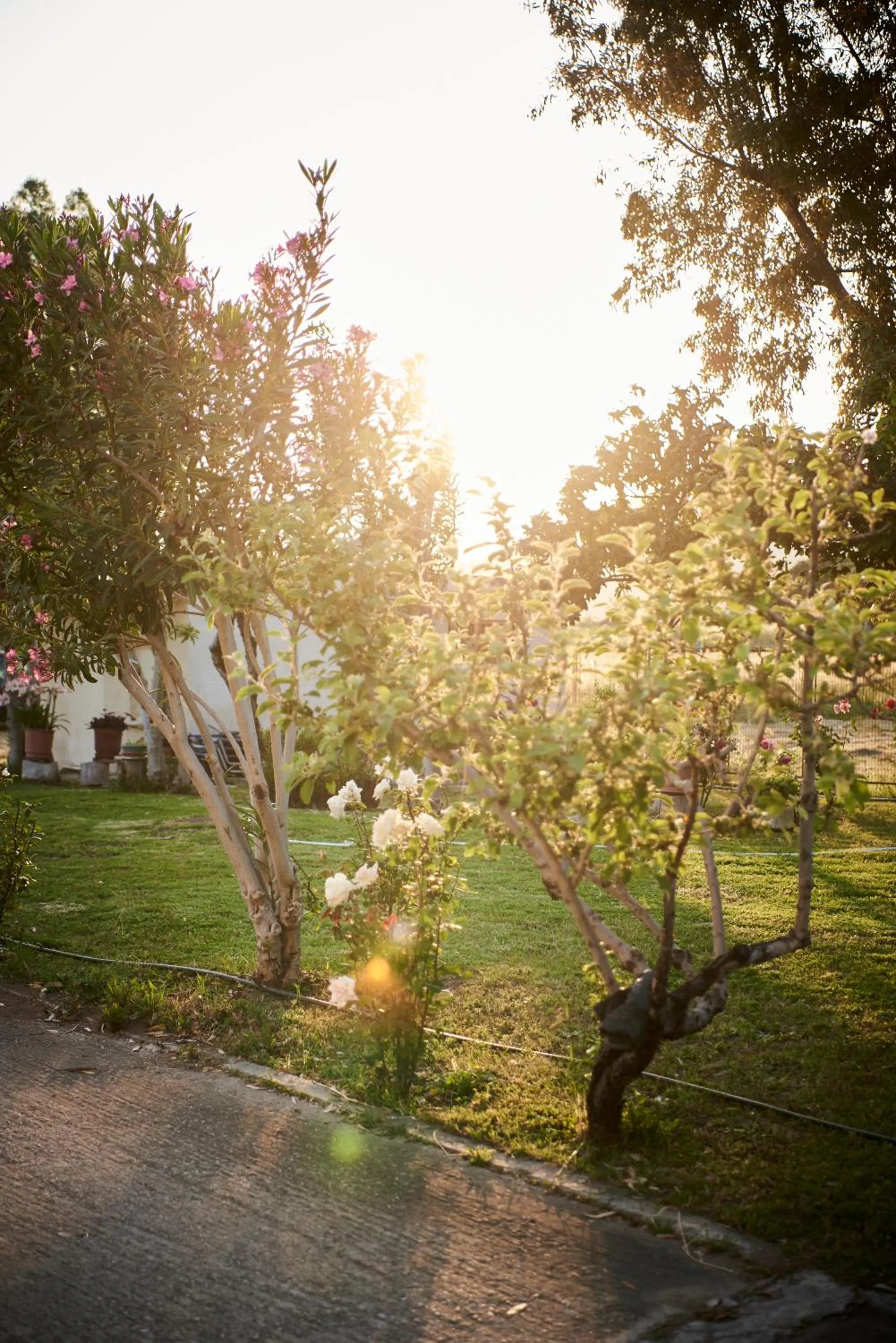 Natural landscape in Kalloni Bay