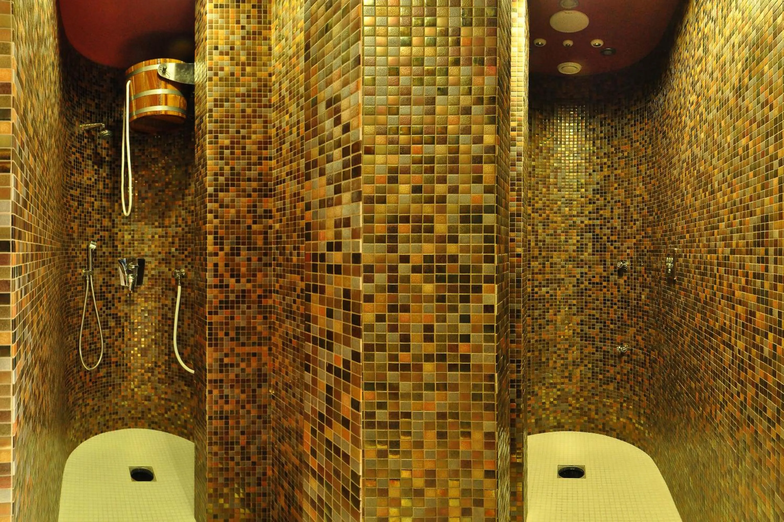 Spa and wellness centre/facilities in Hotel Veba