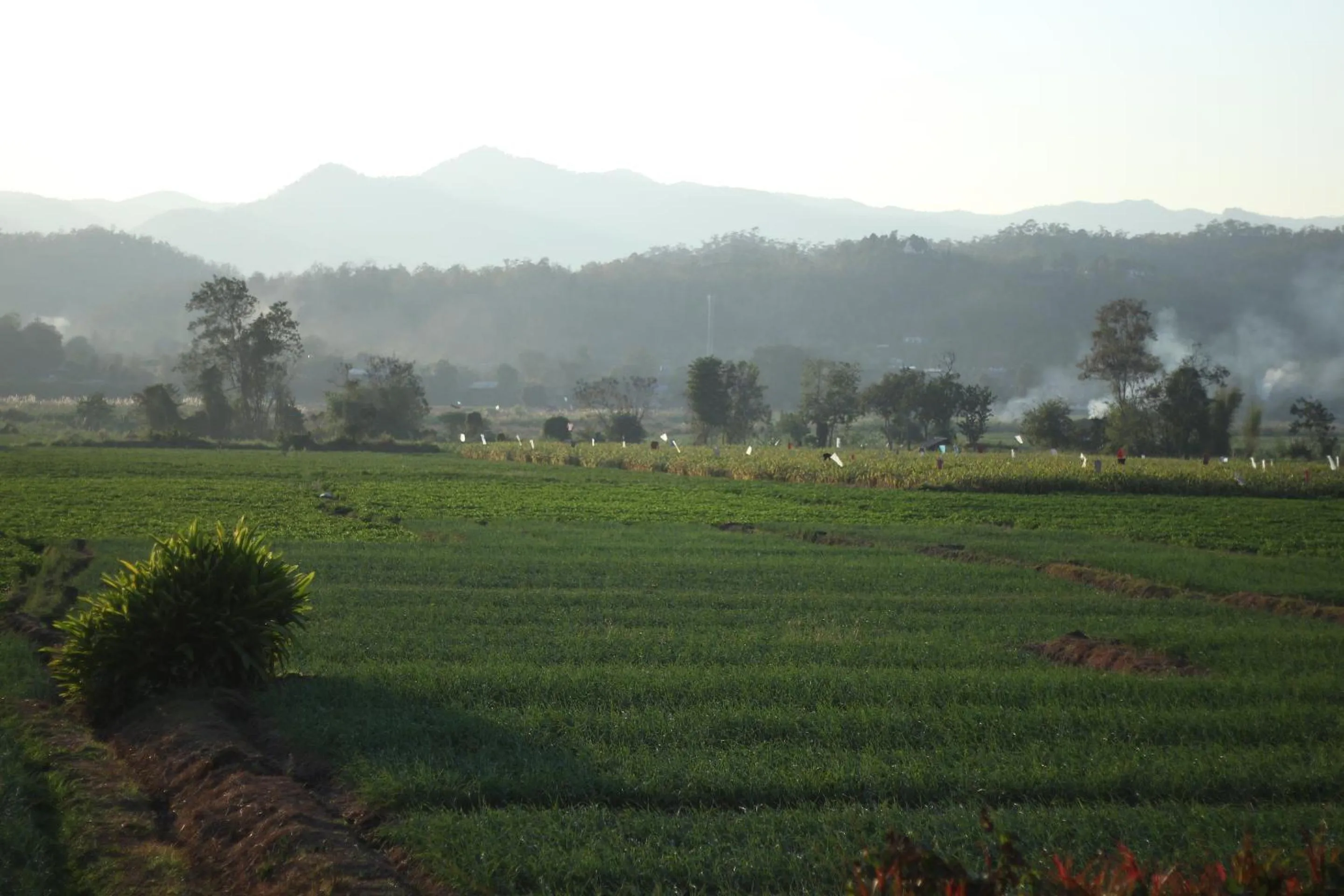 Natural landscape in Baan Khue Wieng Resort