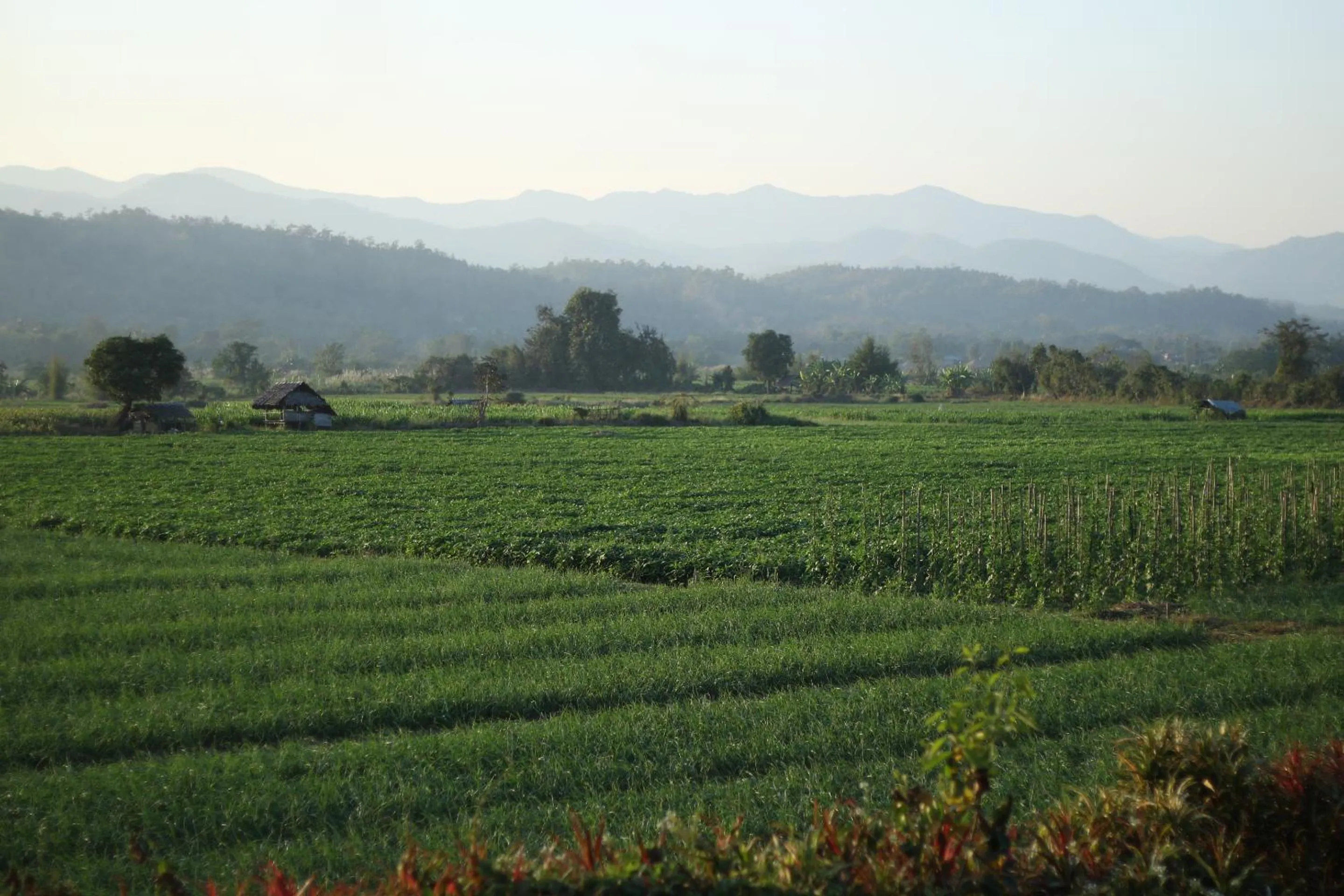 Natural landscape in Baan Khue Wieng Resort