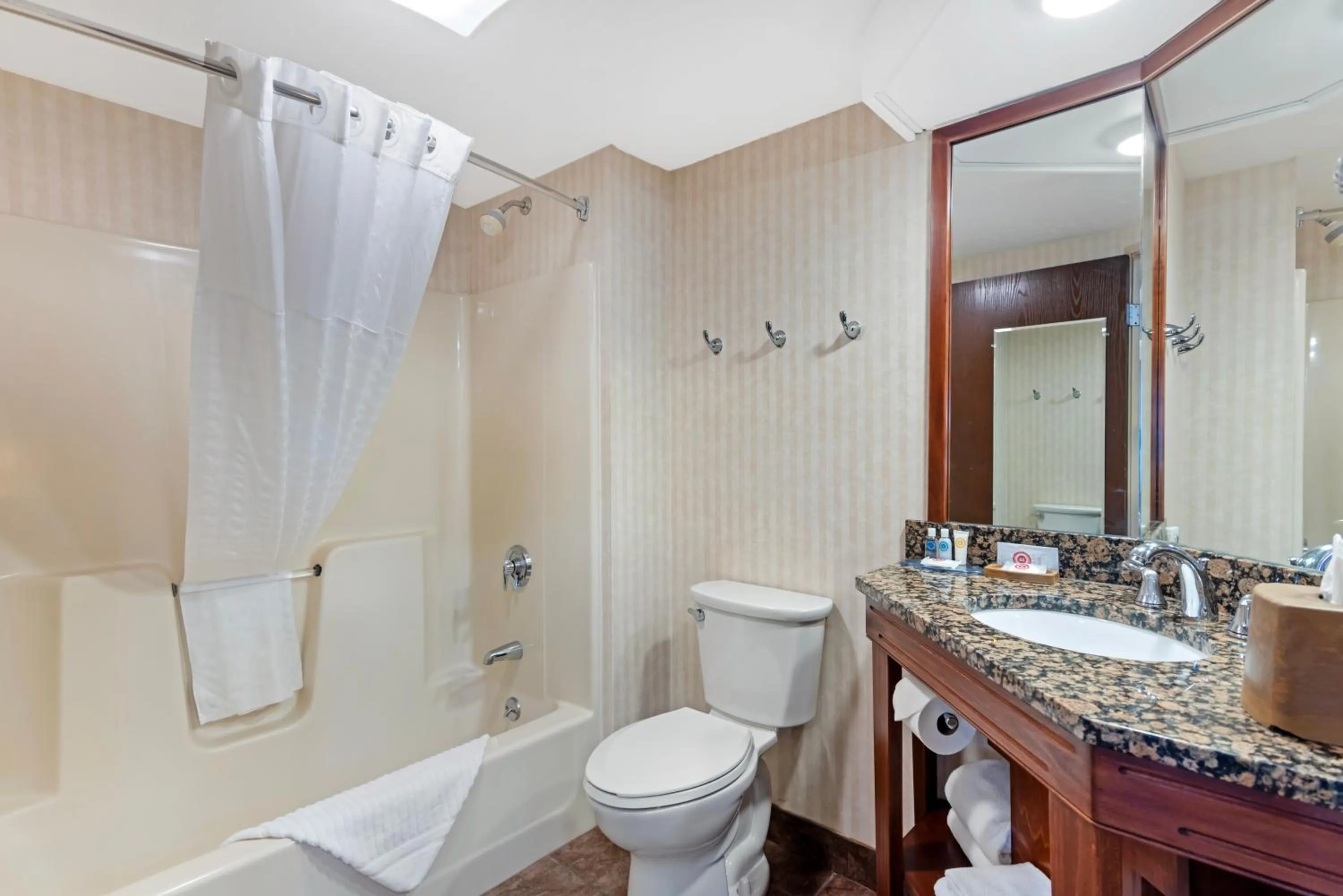 Shower in Comfort Inn Bangor North