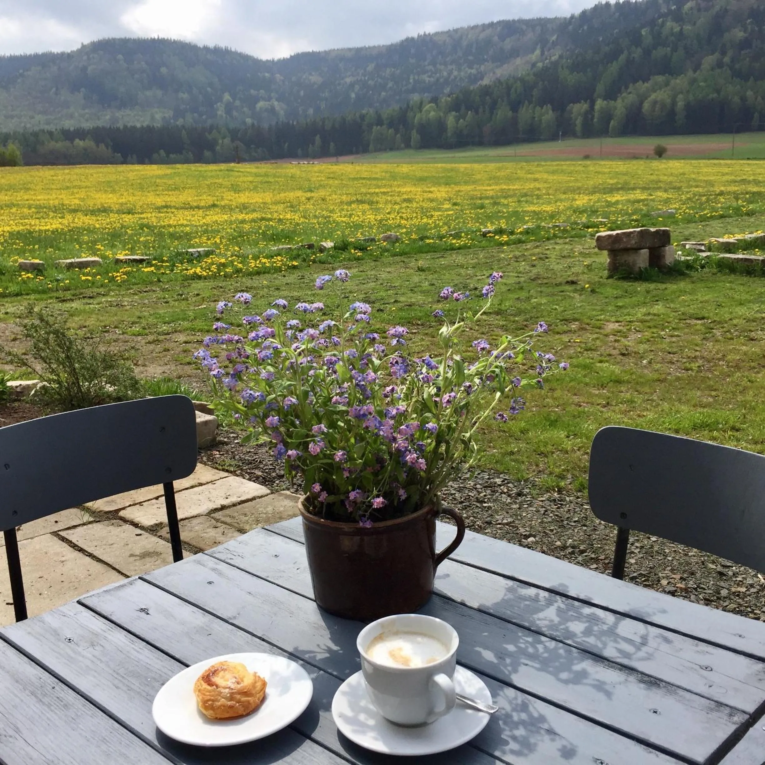 Natural landscape in Centrum Łąkowa 1
