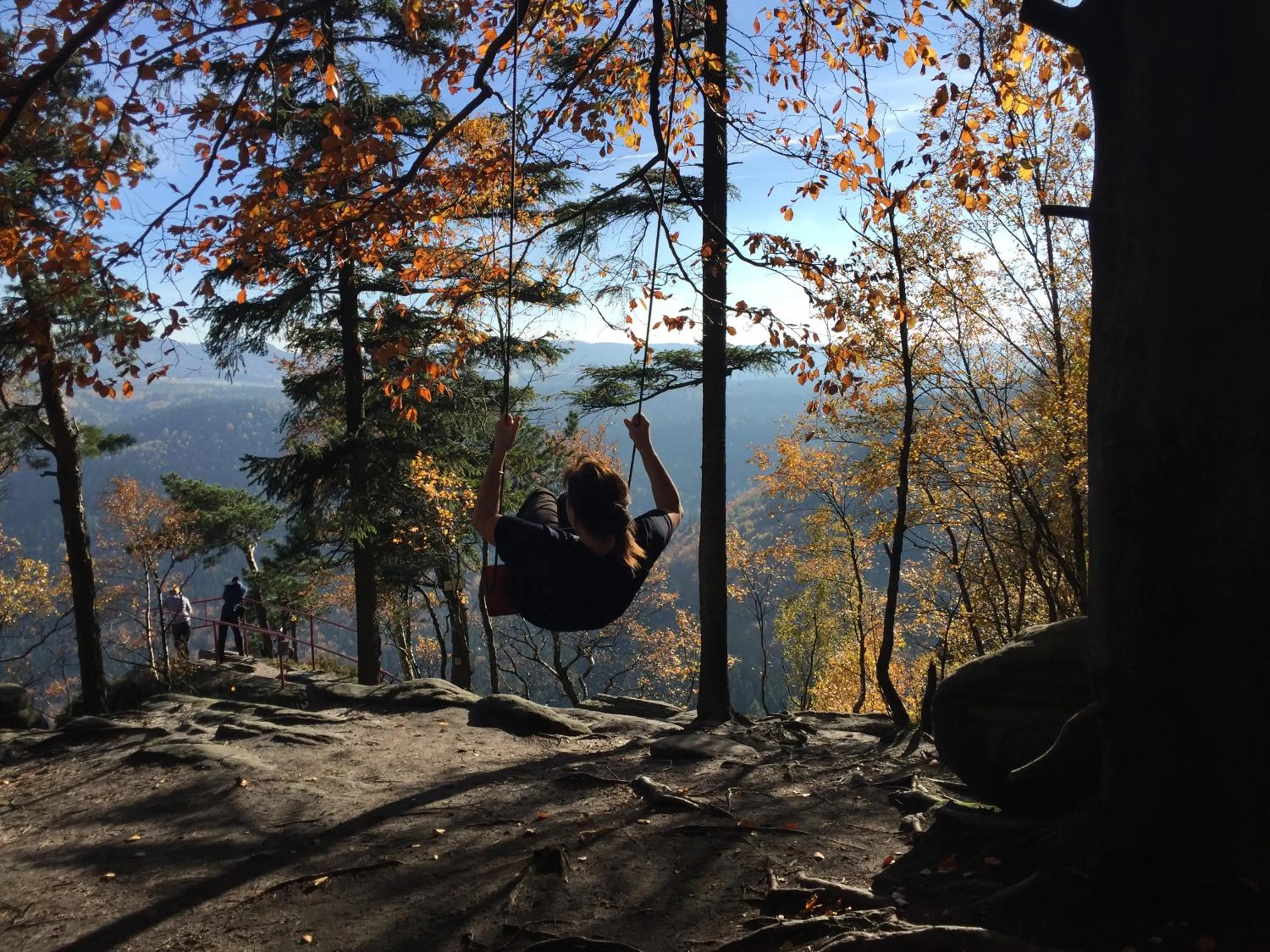 Natural landscape in Centrum Łąkowa 1