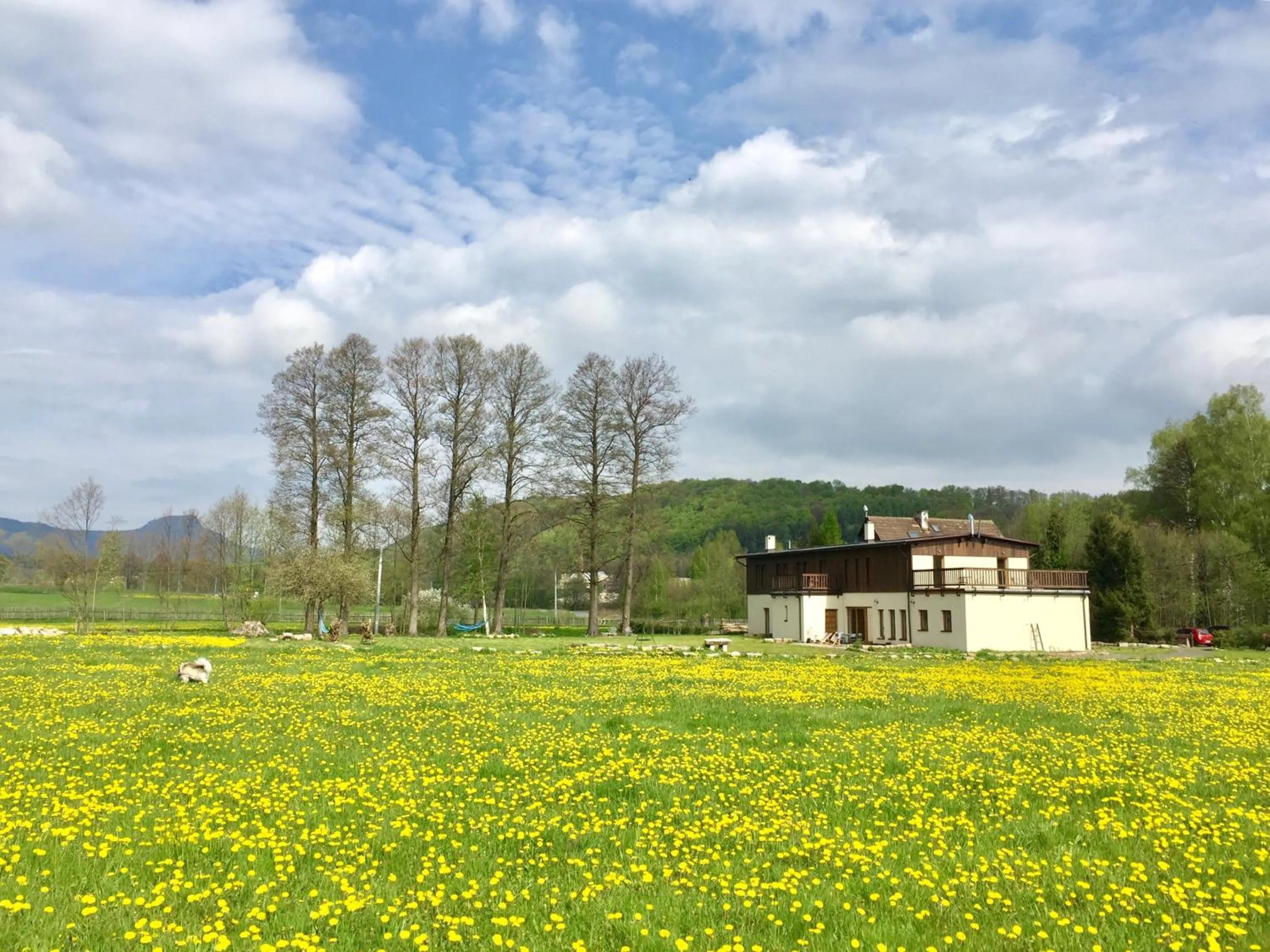 Property building in Centrum Łąkowa 1