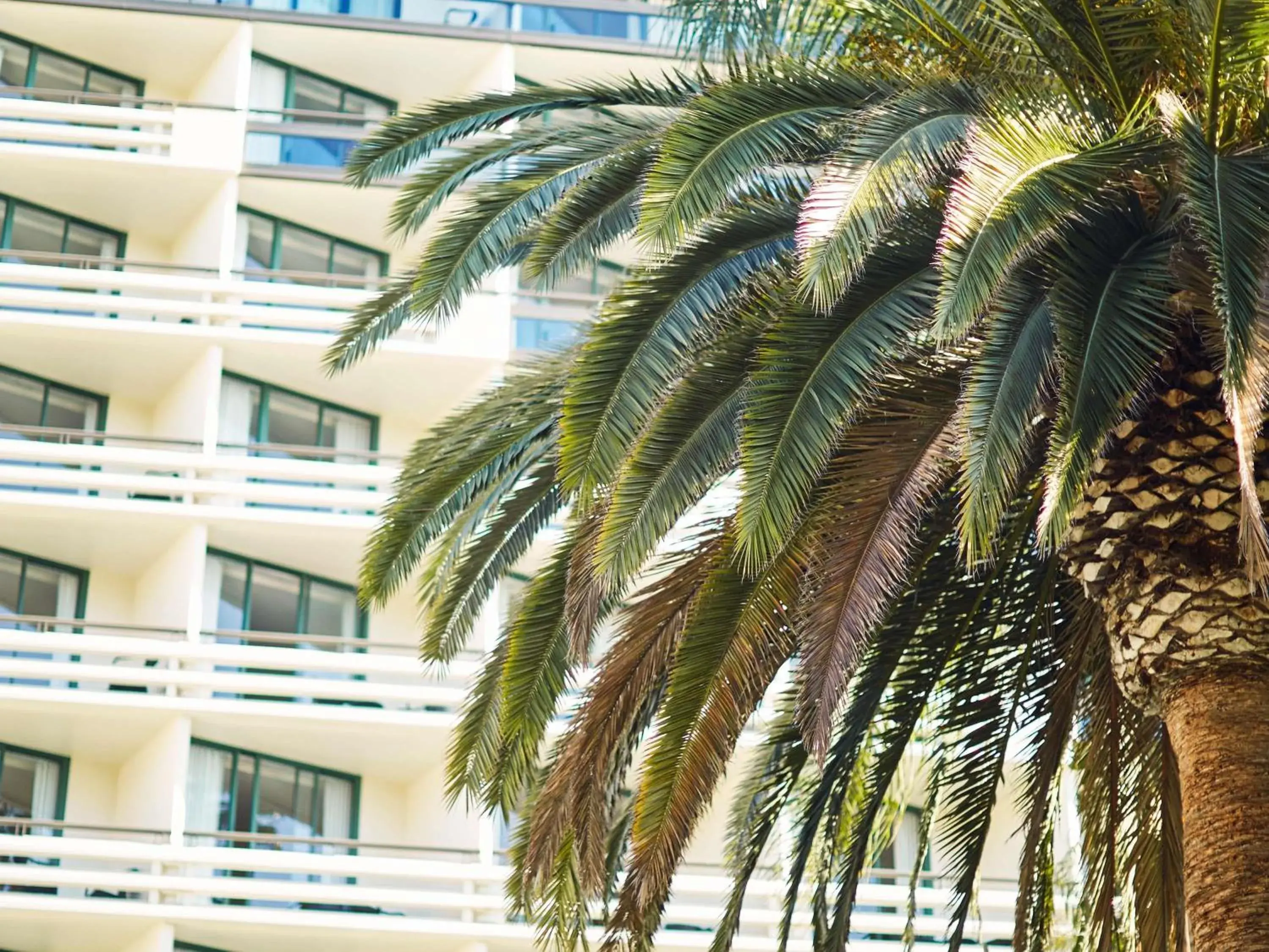 Tower King Suite with Mobility Hearing Accessible/Roll In Shower in Fairmont Miramar Hotel & Bungalows Tower King Suite with Mobility Hearing Accessible/Roll In Shower in Fairmont Miramar Hotel & Bungalows