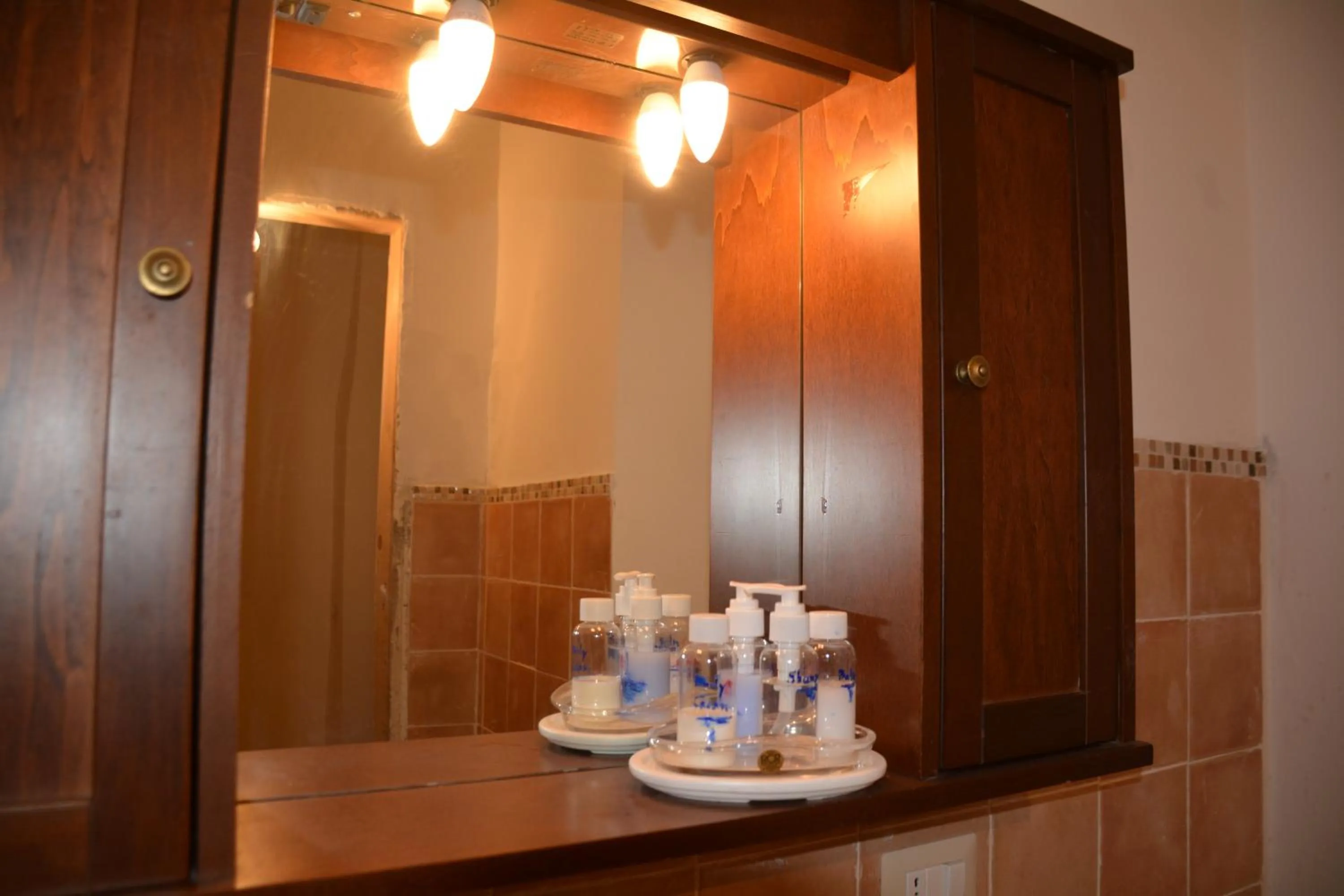 Shower in Etna Hiking B&B