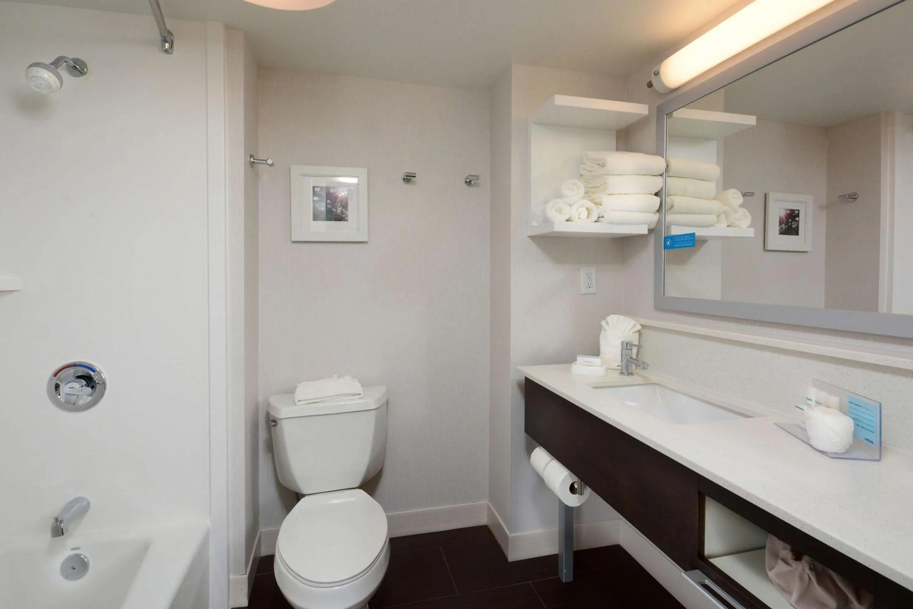 Bathroom in Hampton Inn Charlotte North Lake Norman