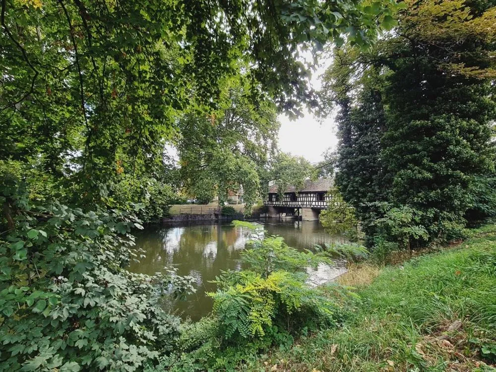 Natural landscape in Ecoinn