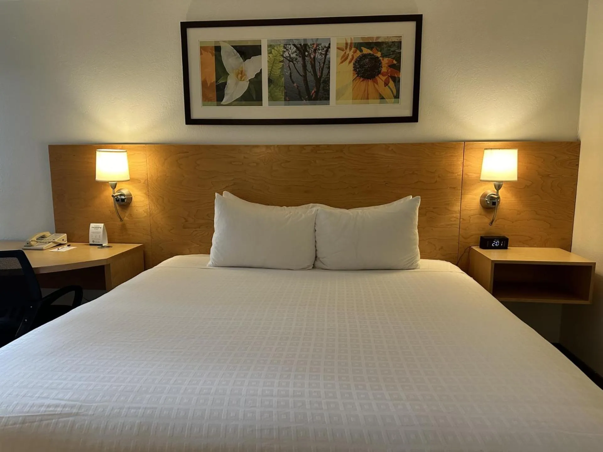 Bed in Hotel Nexus; BW Signature Collection