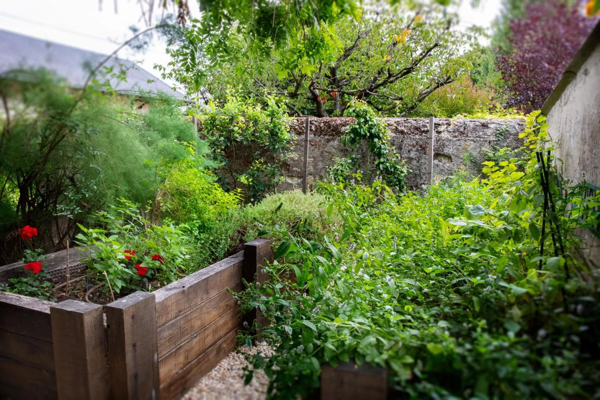 Restaurant/places to eat in Logis Hôtel La Brèche - Restaurant Berthelot