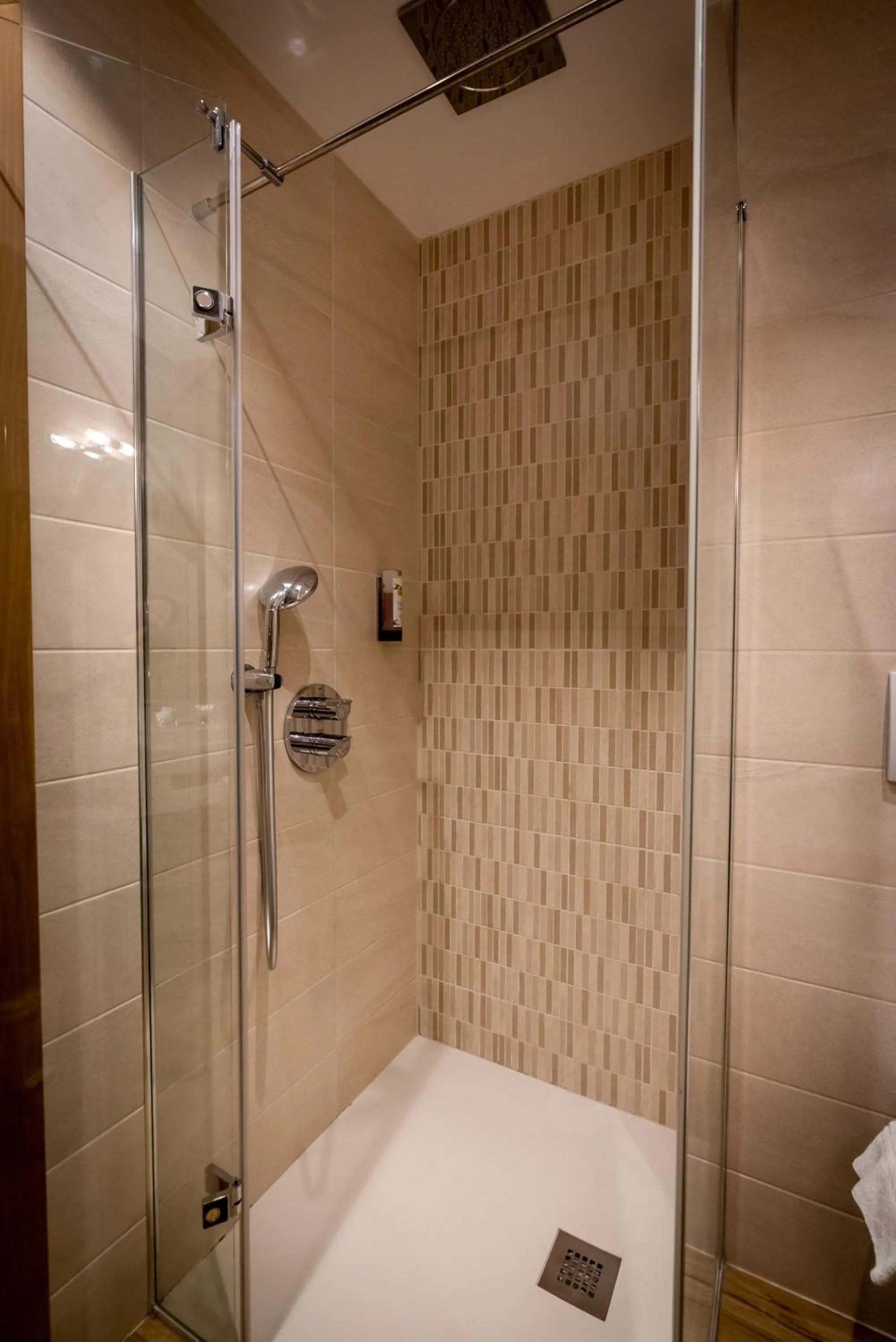 Shower in Logis Hôtel de la Tour