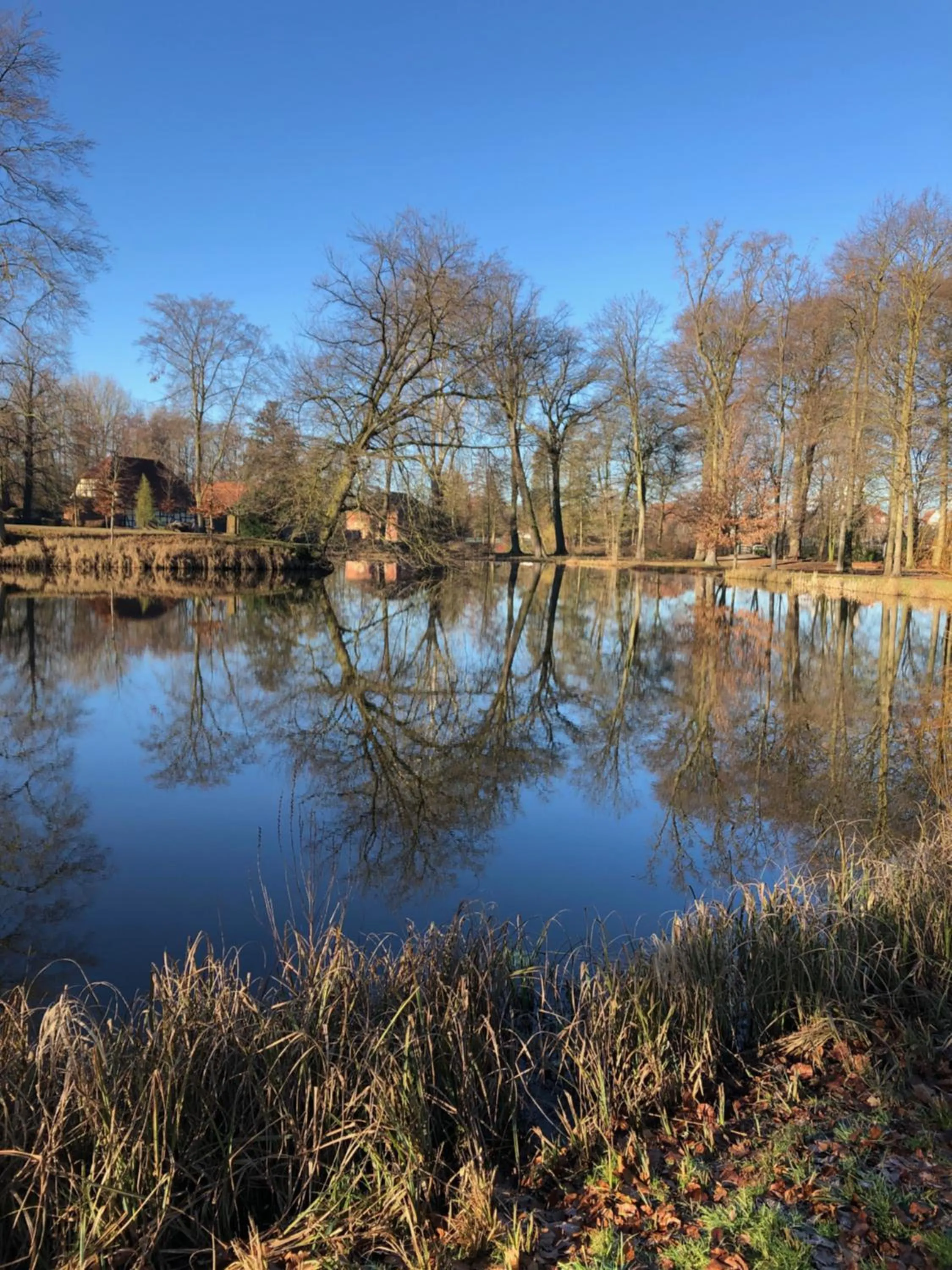 Nearby landmark in König`s Hotel am Schlosspark