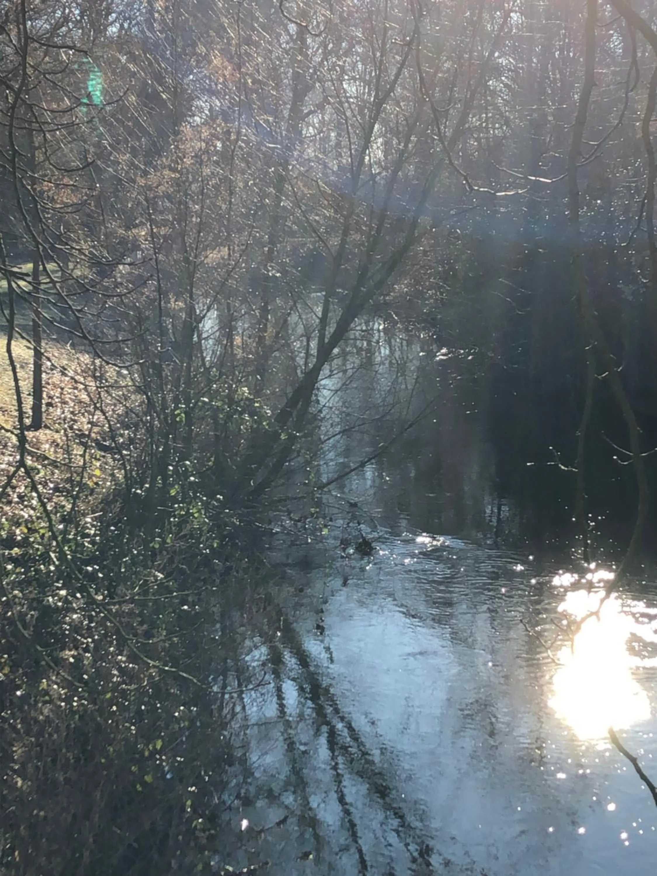 Natural landscape in König`s Hotel am Schlosspark