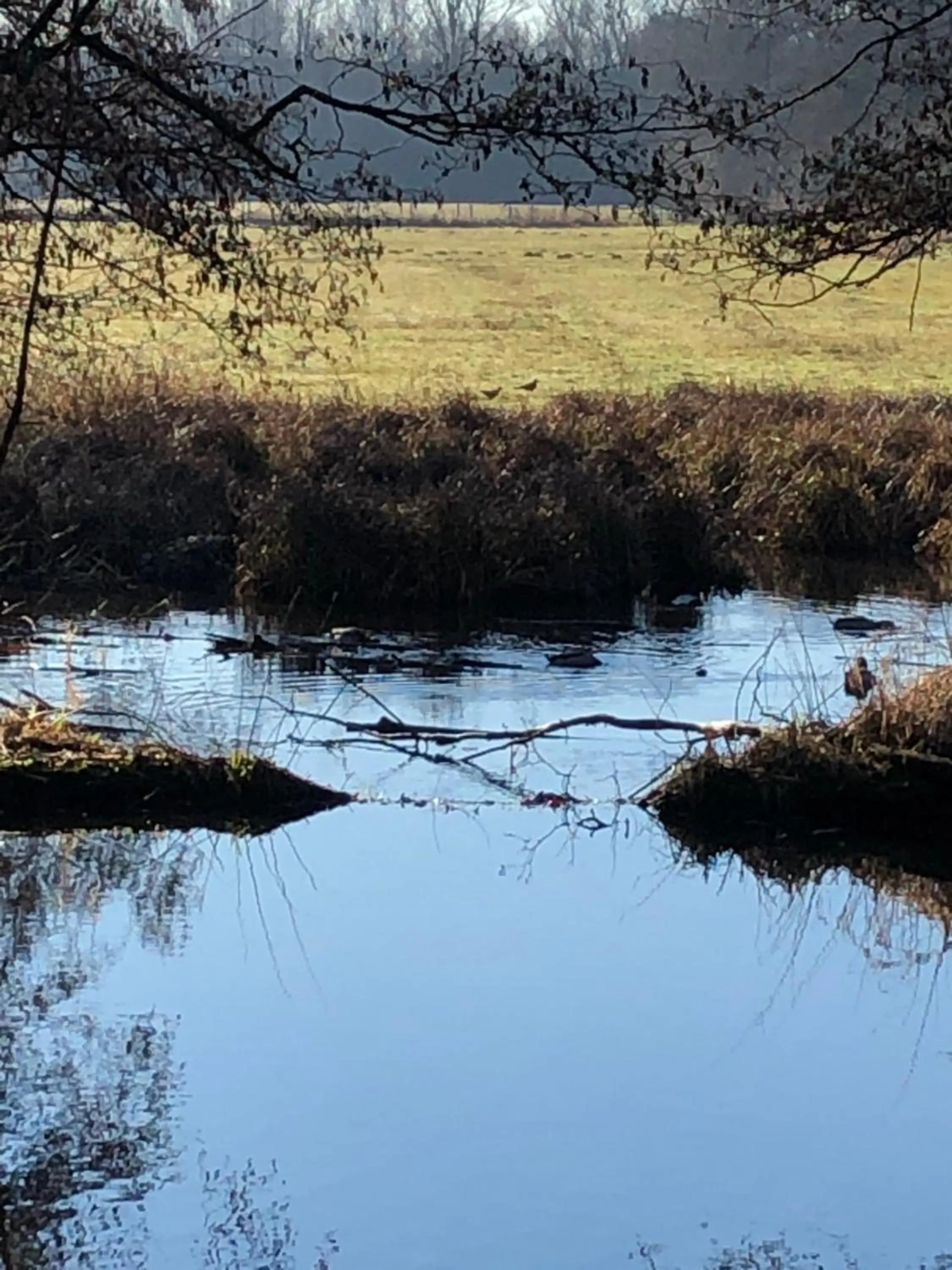 Neighbourhood in König`s Hotel am Schlosspark