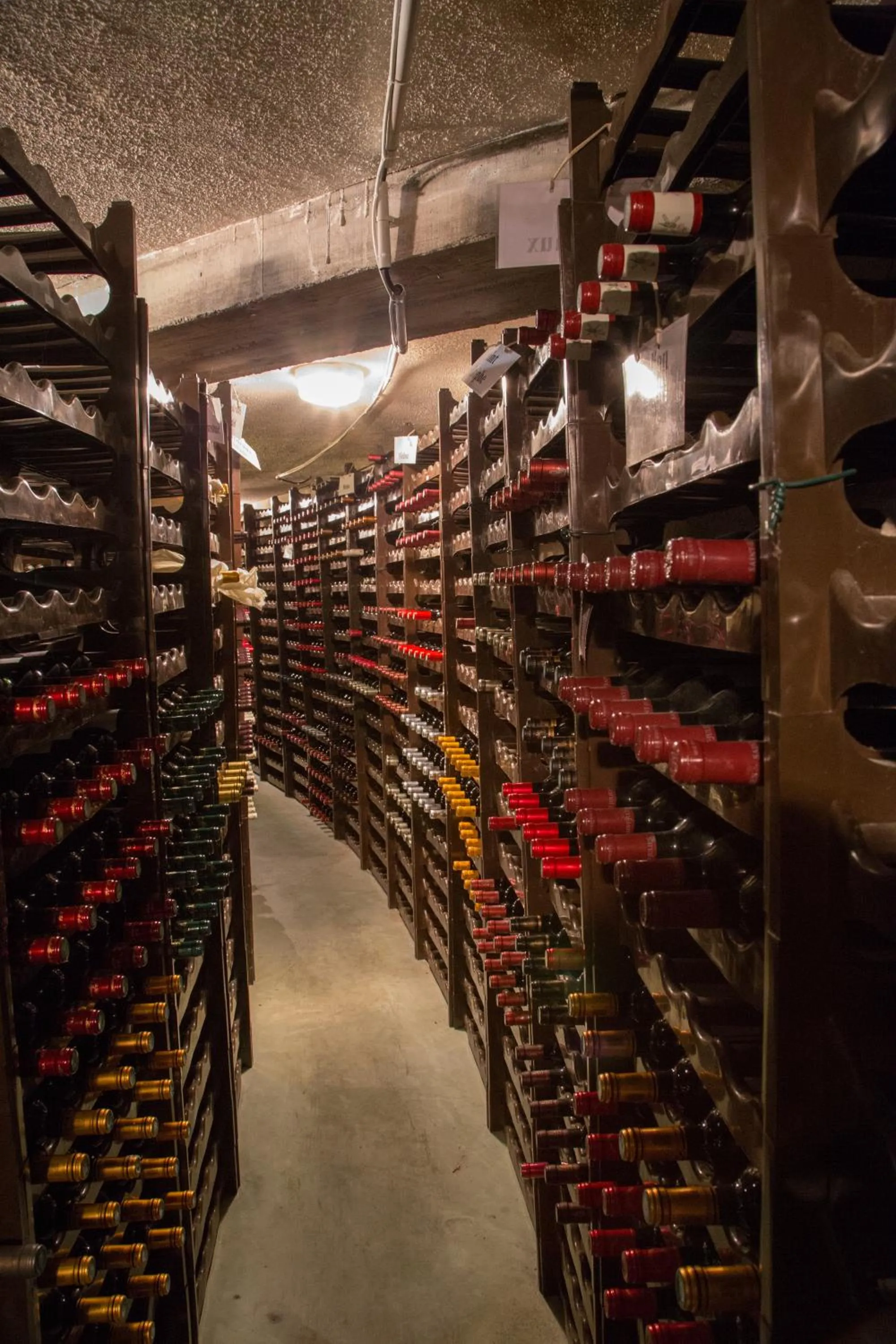 Area and facilities in Hôtel Restaurant L'Evidence