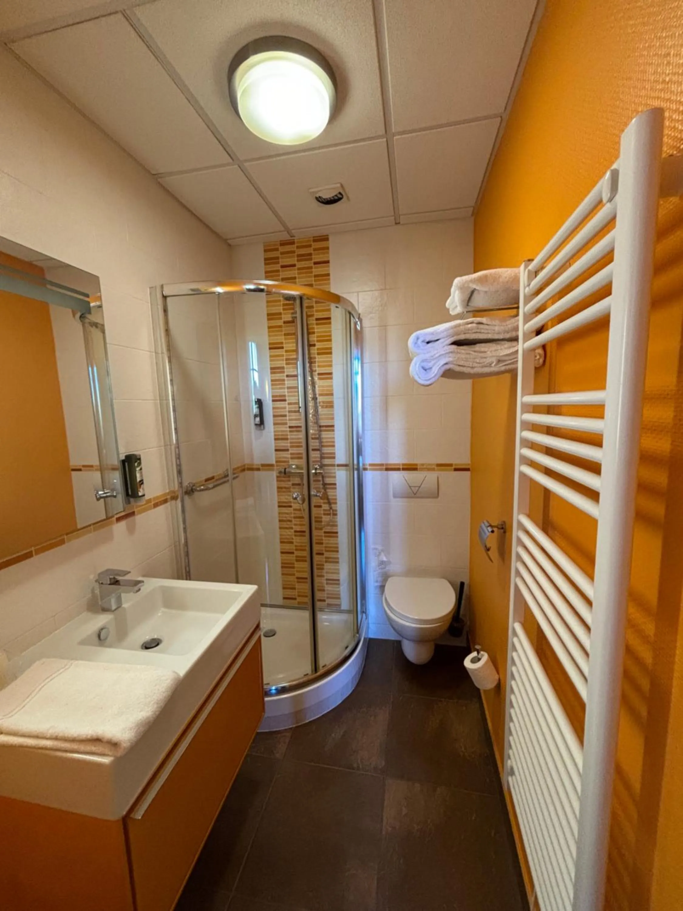 Shower in Garden & City Luxeuil Ex Le Métropole et Les Thermes