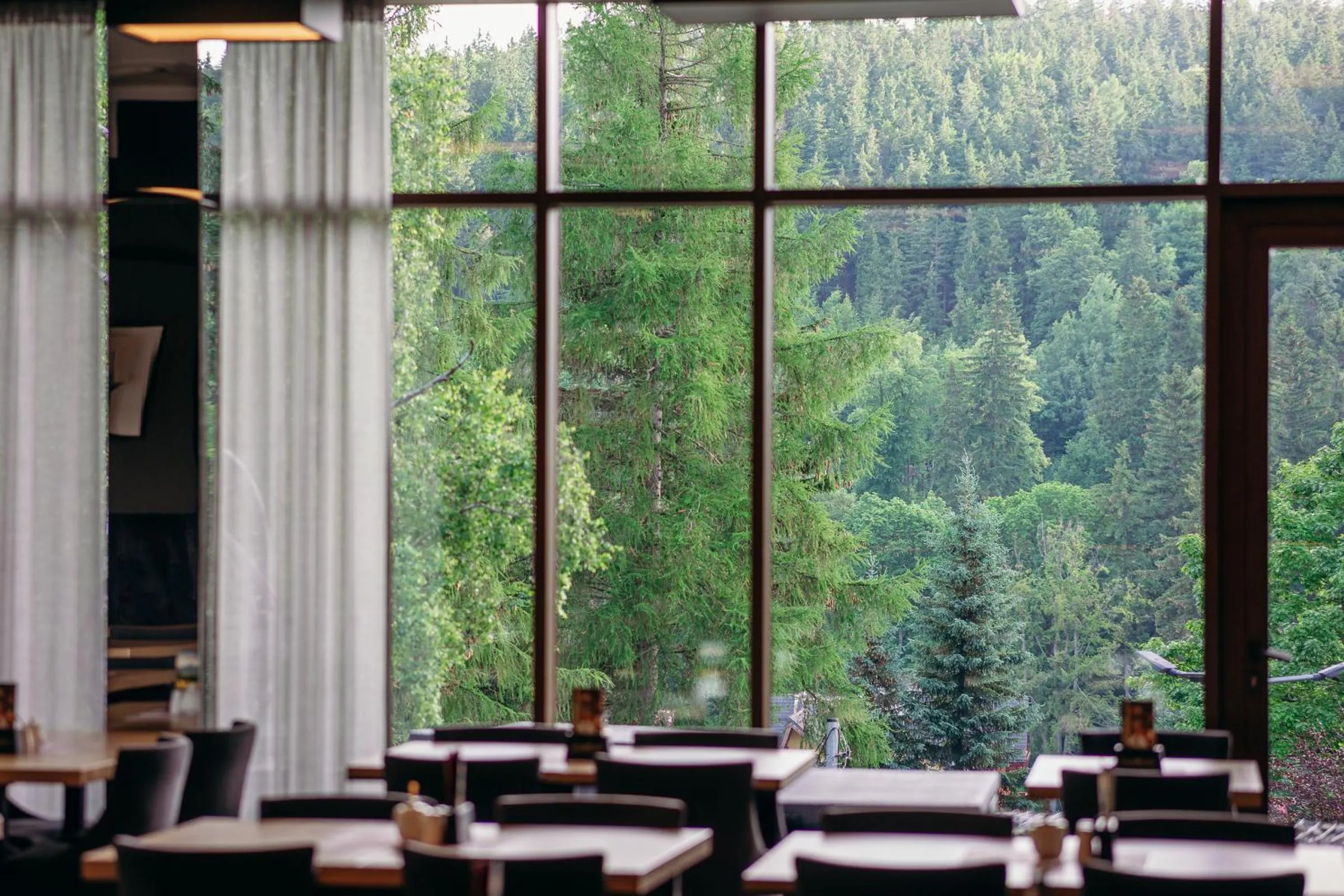 Restaurant/places to eat in Czarny Kamień Resort & SPA