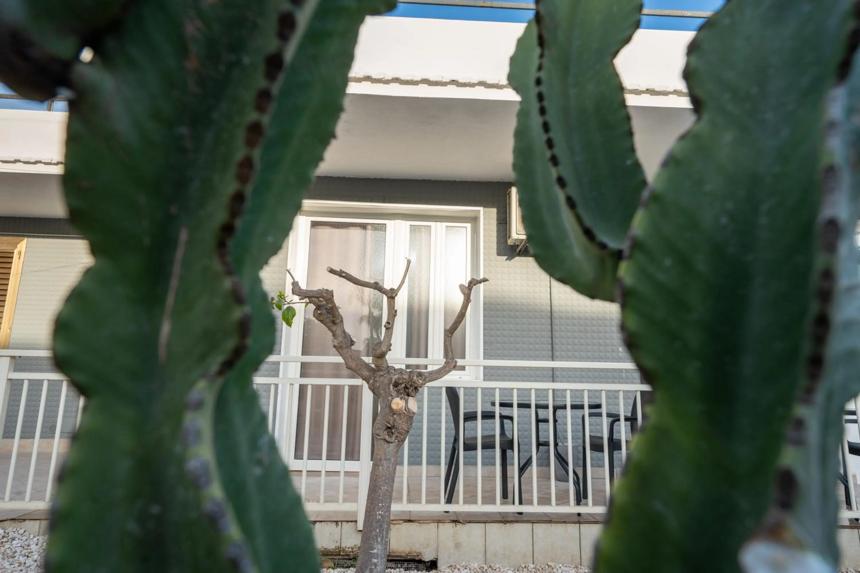 Day in B&B Villa Achibea