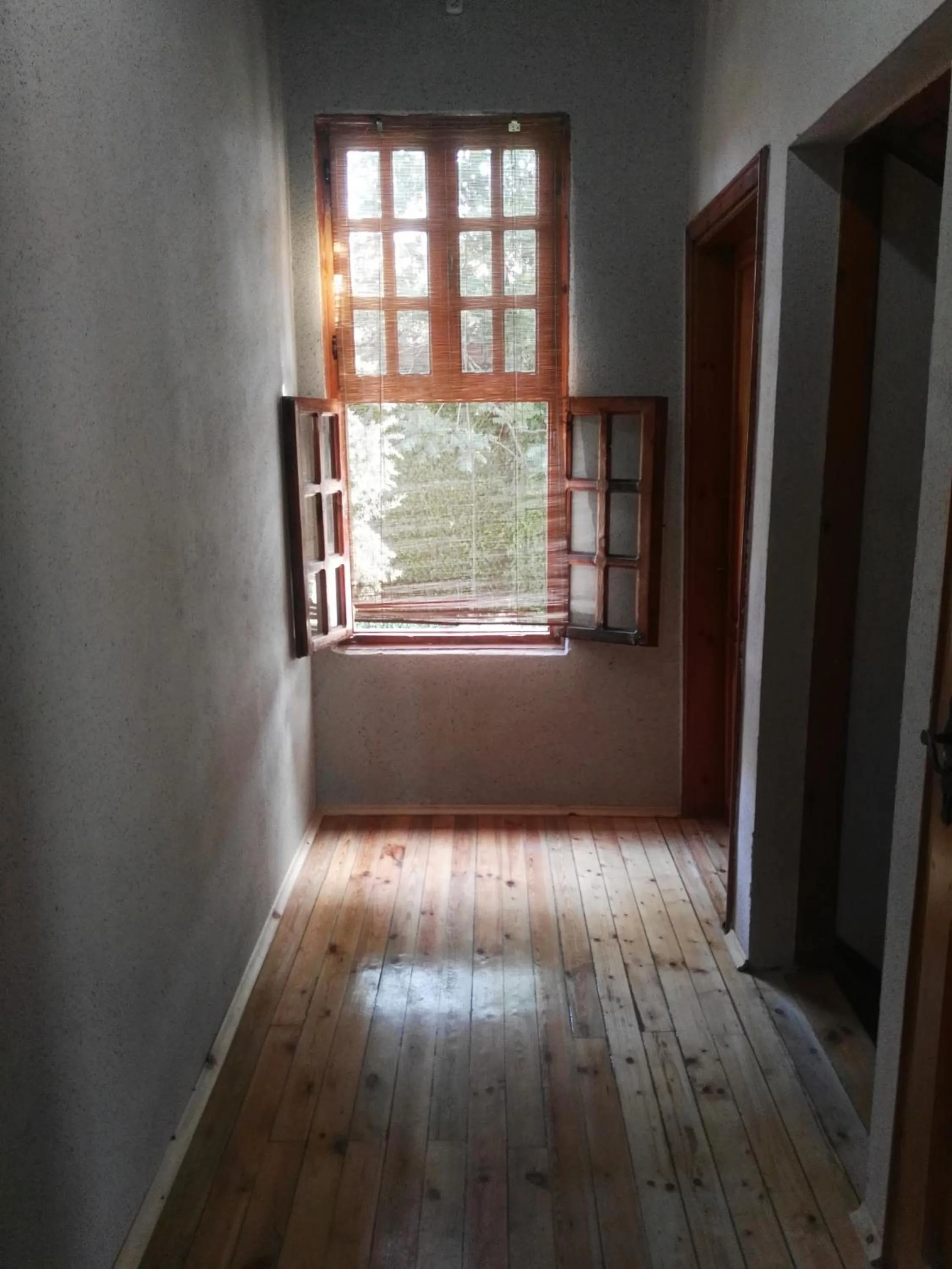 Other in Otel Wood House