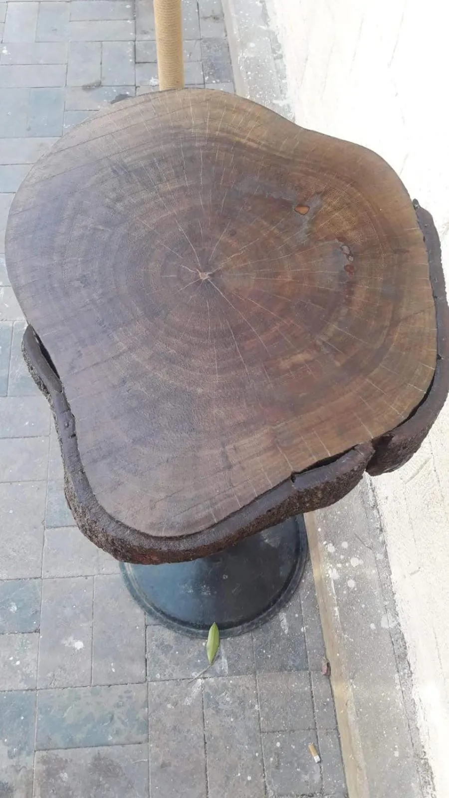 Other in Otel Wood House