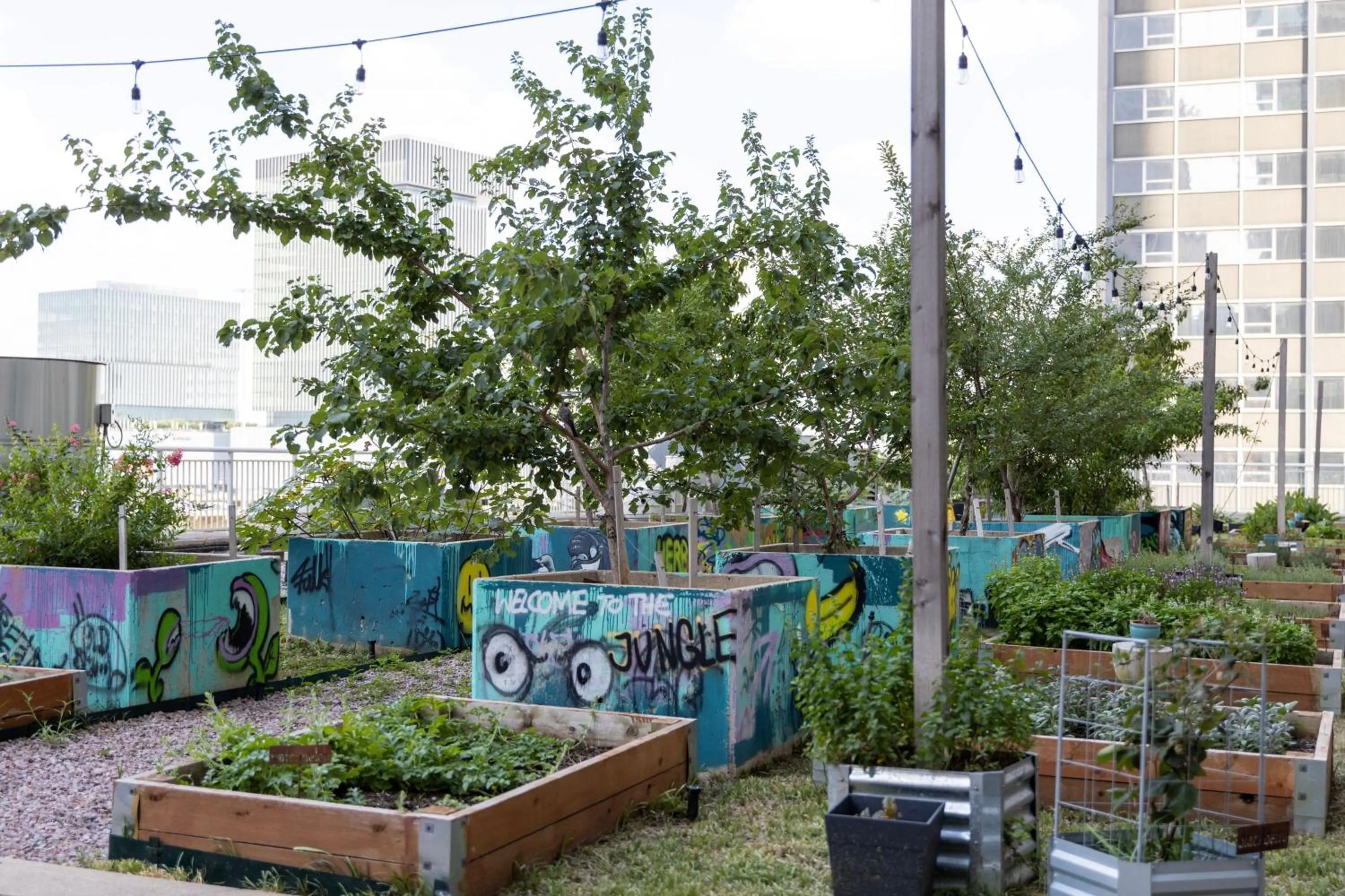 Other in Sheraton Dallas Hotel