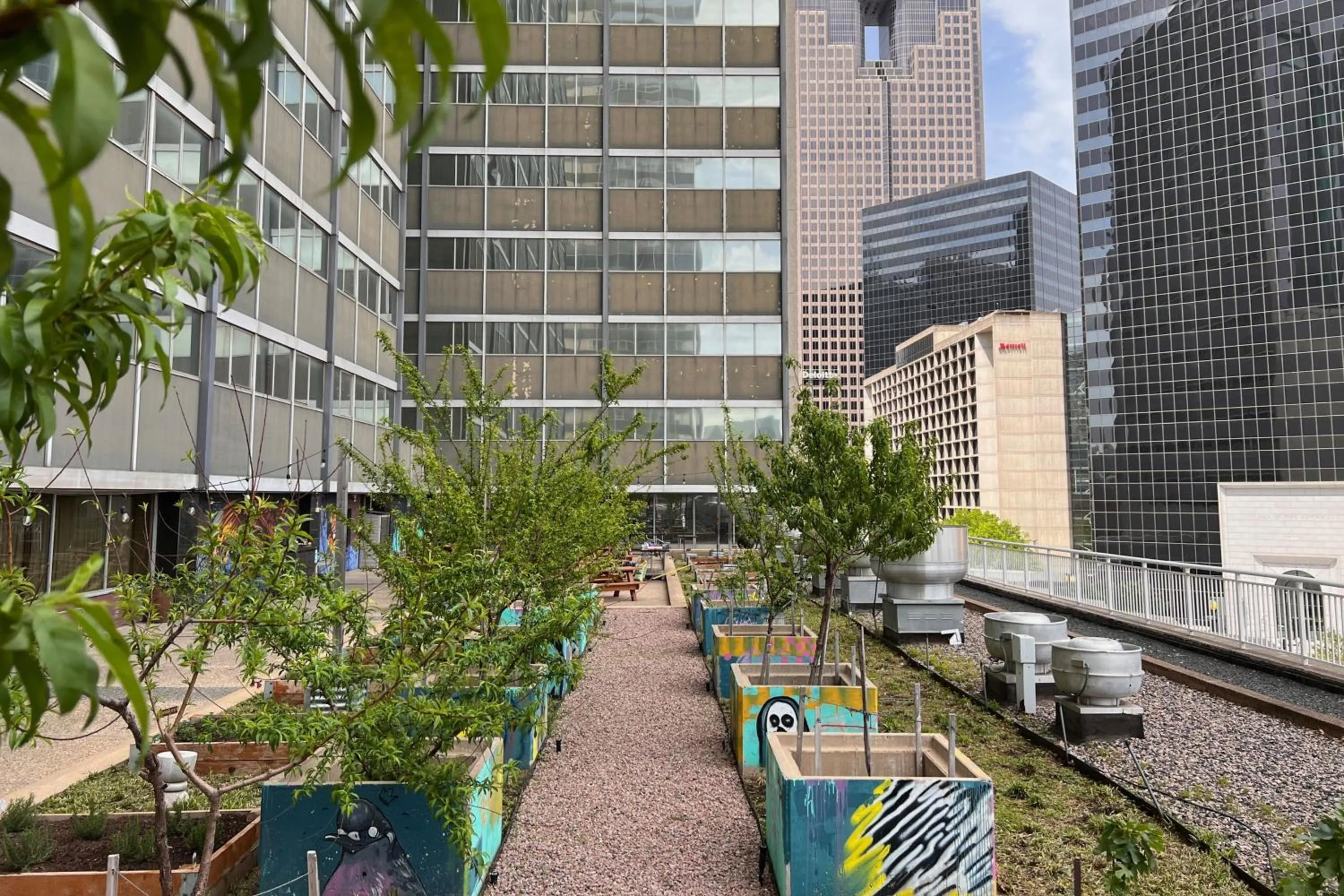 Other in Sheraton Dallas Hotel