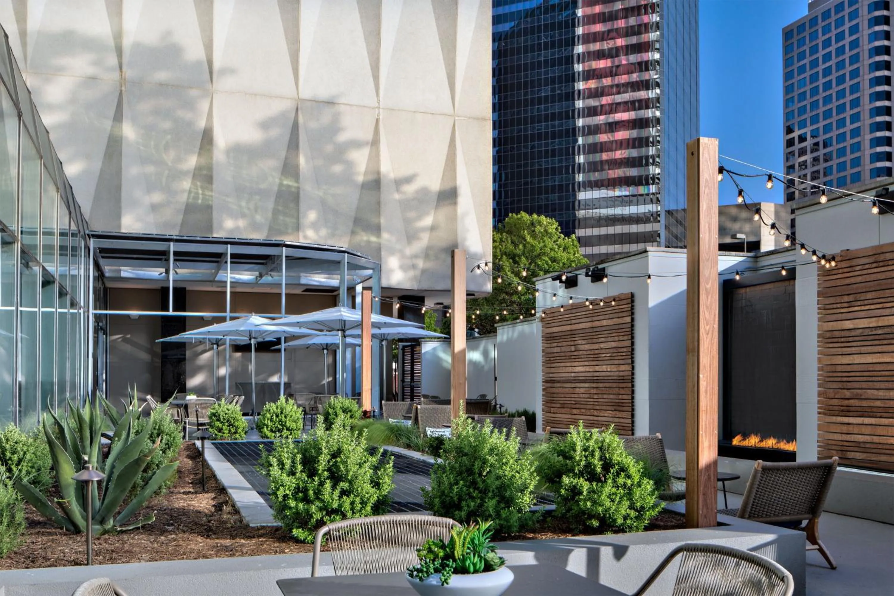 View (from property/room) in Sheraton Dallas Hotel