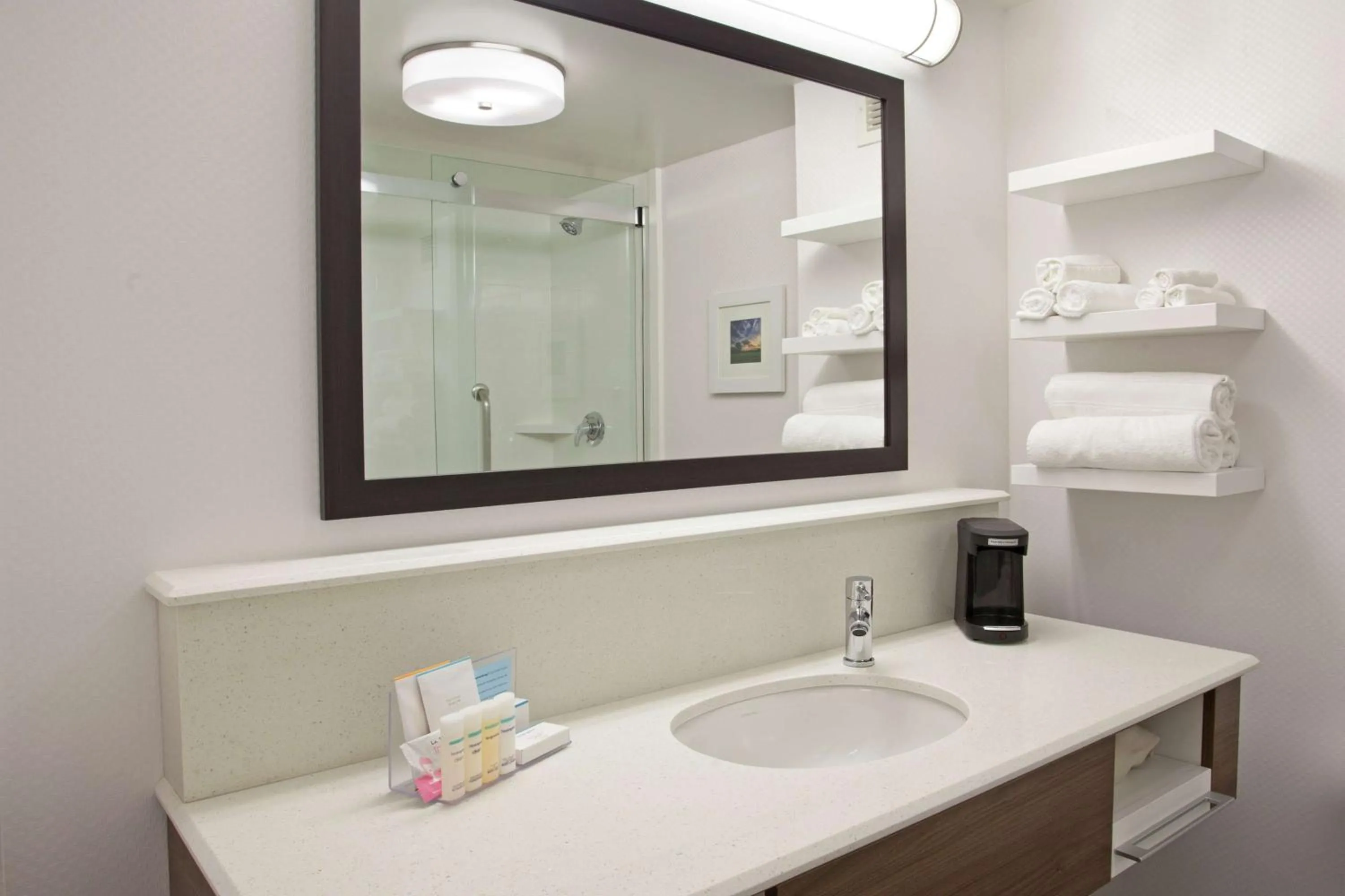 Bathroom in Hampton Inn & Suites Nashville-Smyrna