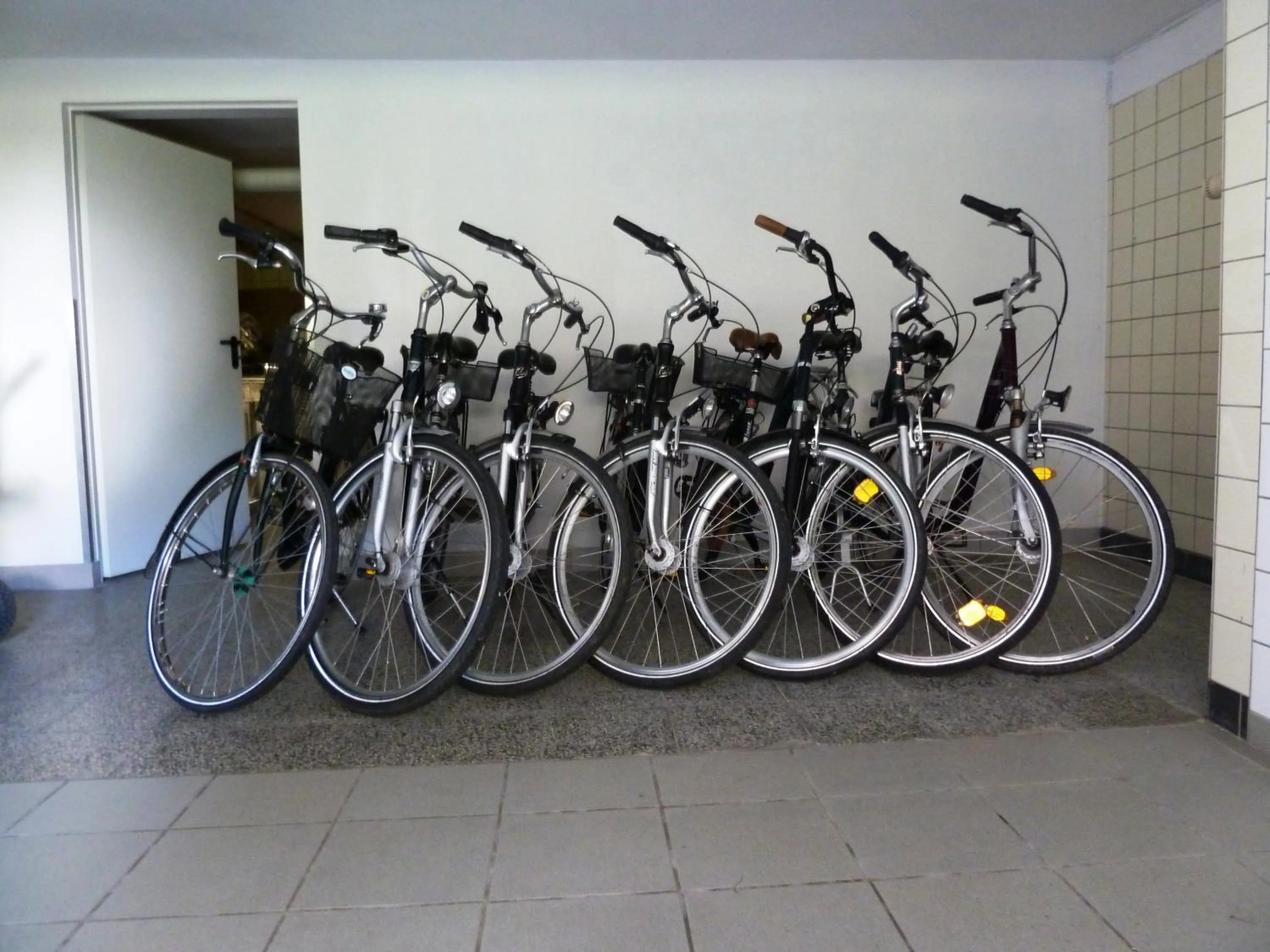 Cycling in Bio-Hotel Melter