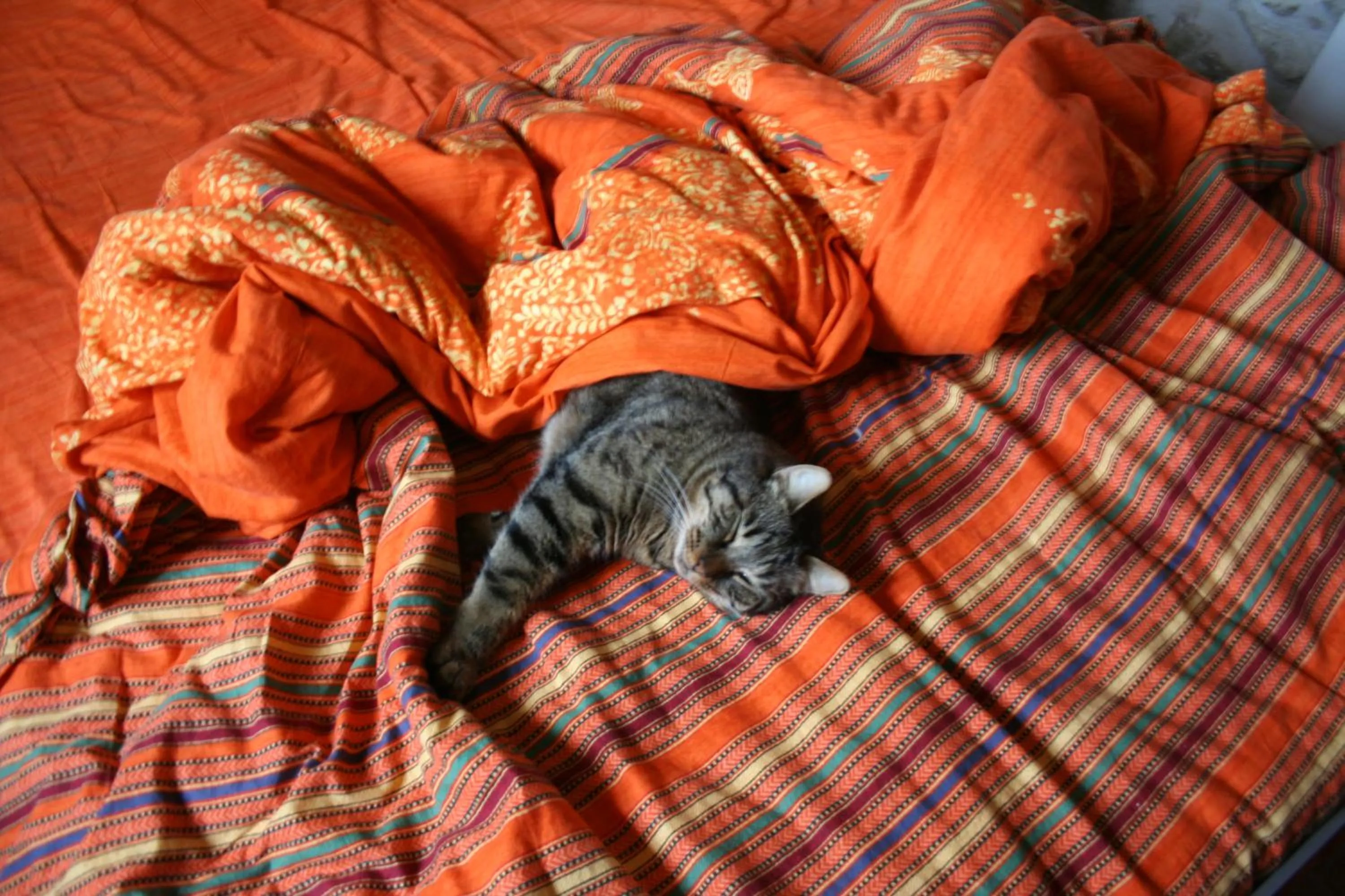 Pets, Bed in Locanda San Francesco