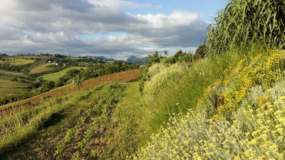 Garden view in Locanda San Francesco