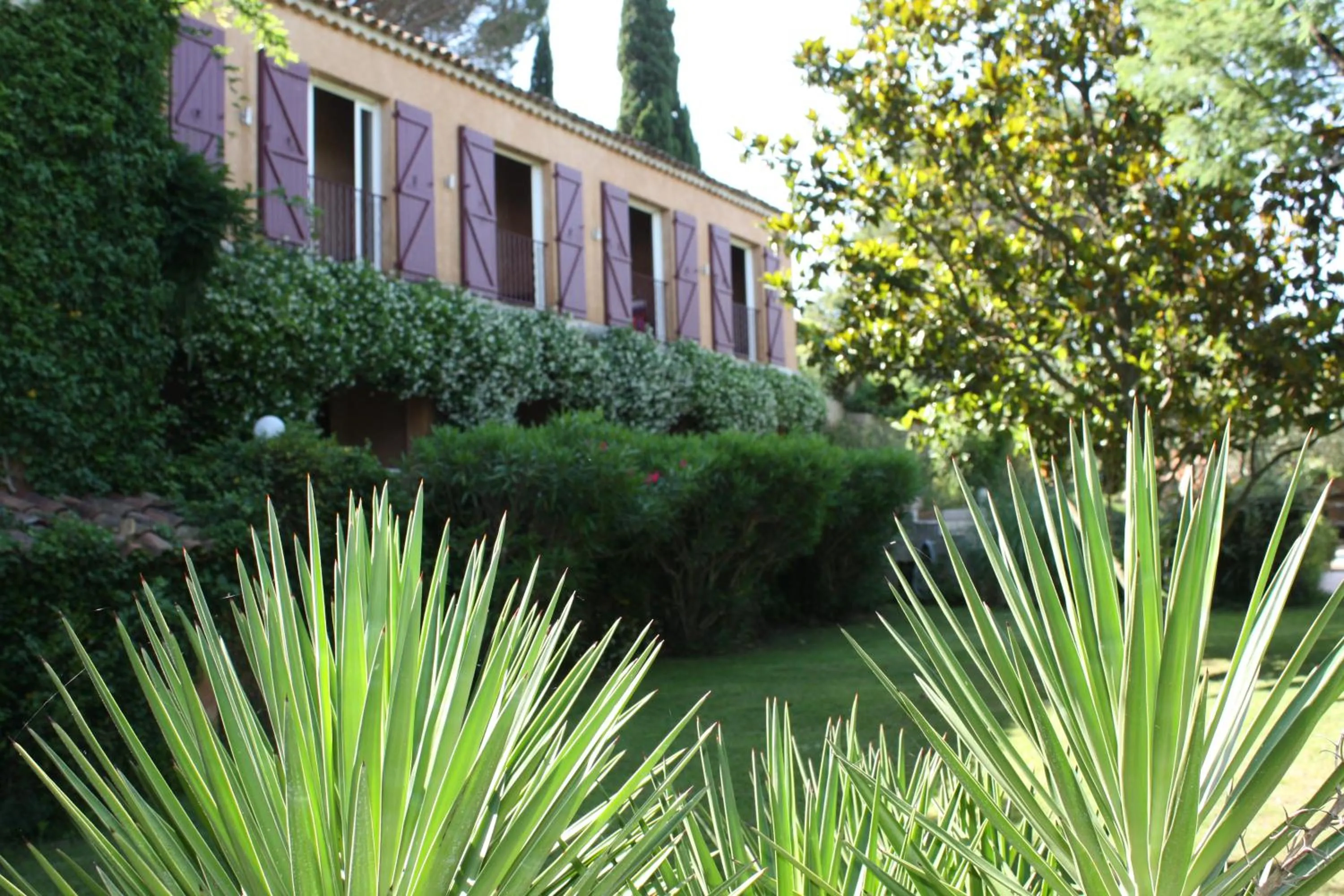 Garden in Athénopolis