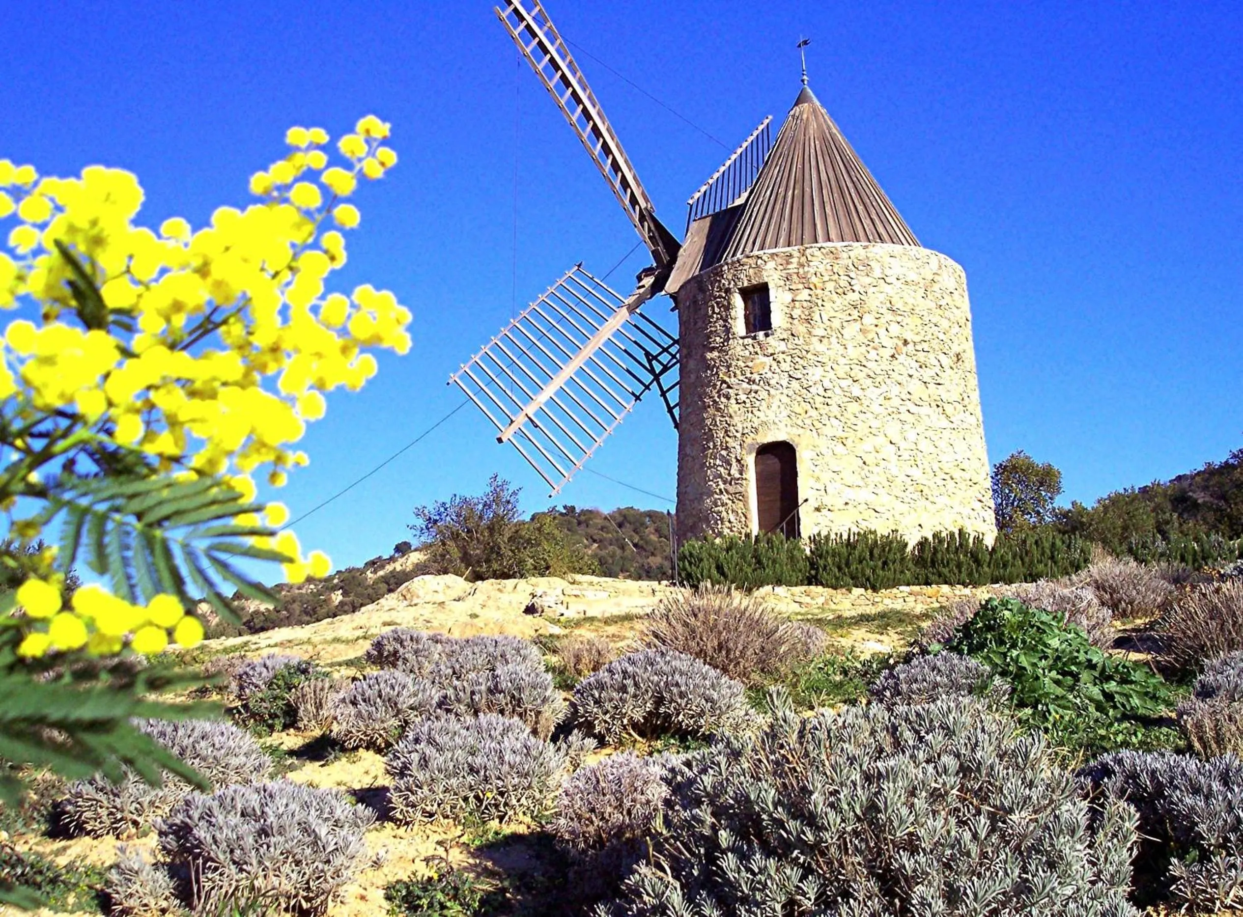 Nearby landmark in Athénopolis