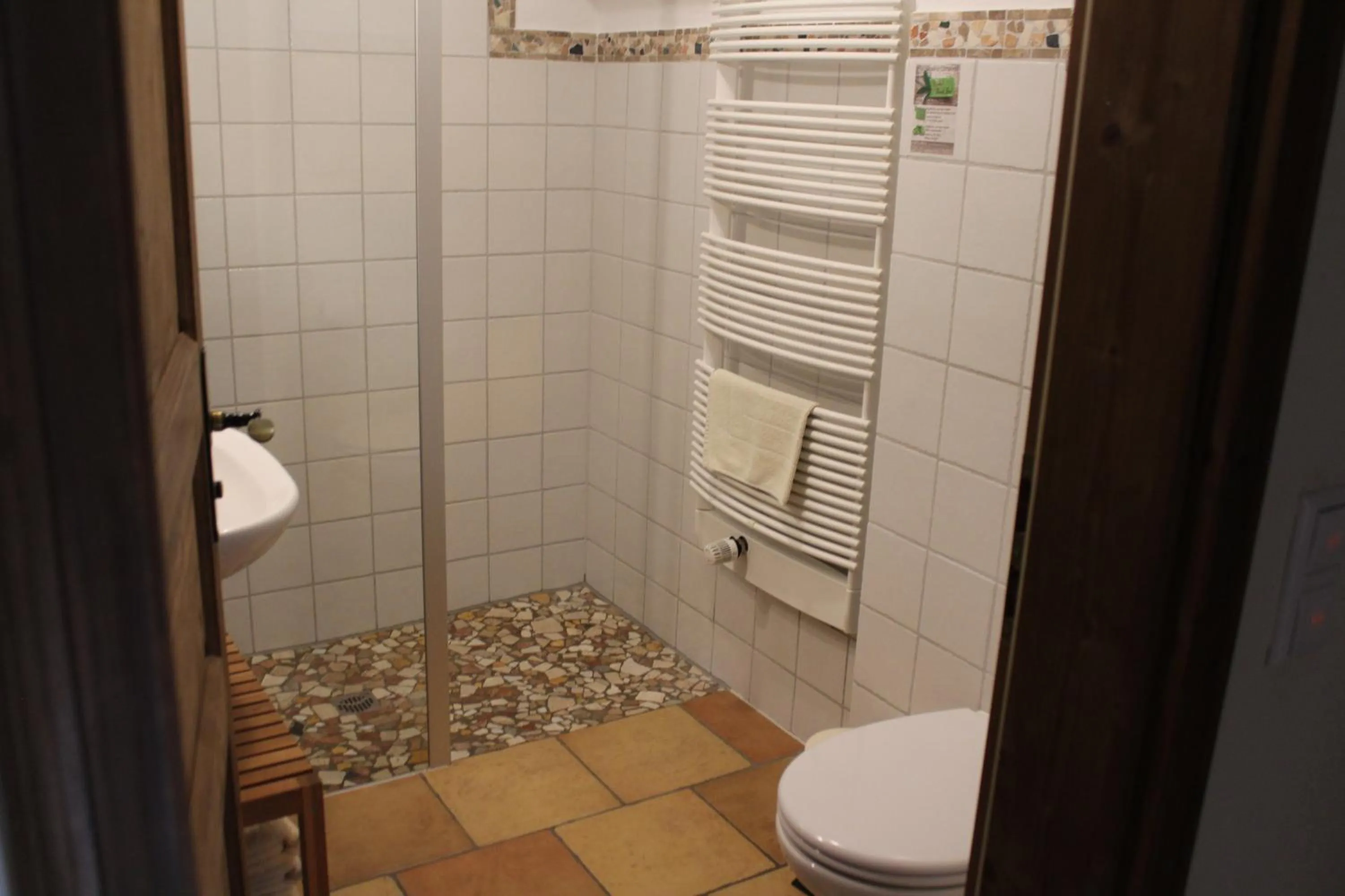 Shower in Pension Vanii, Apartments