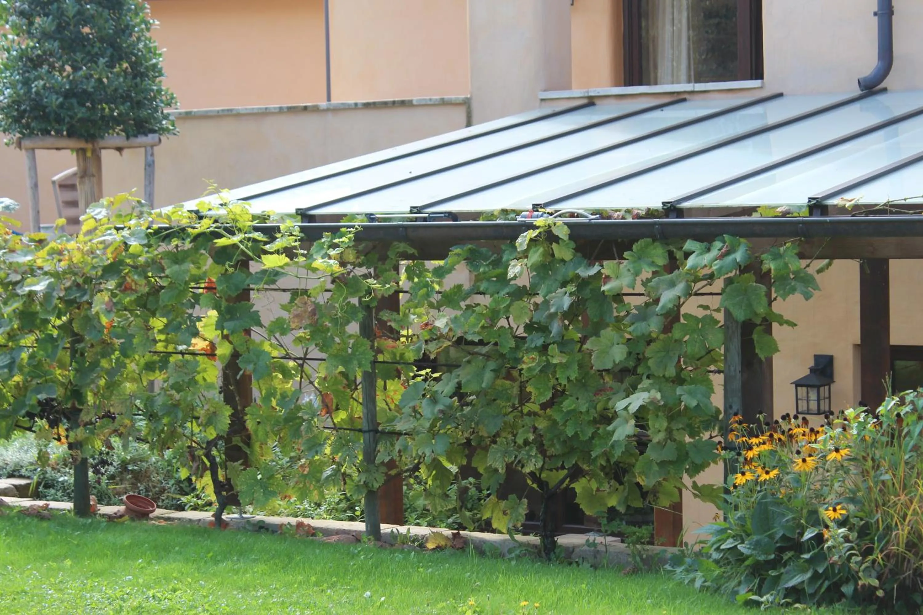 Garden view in Pension Vanii, Apartments