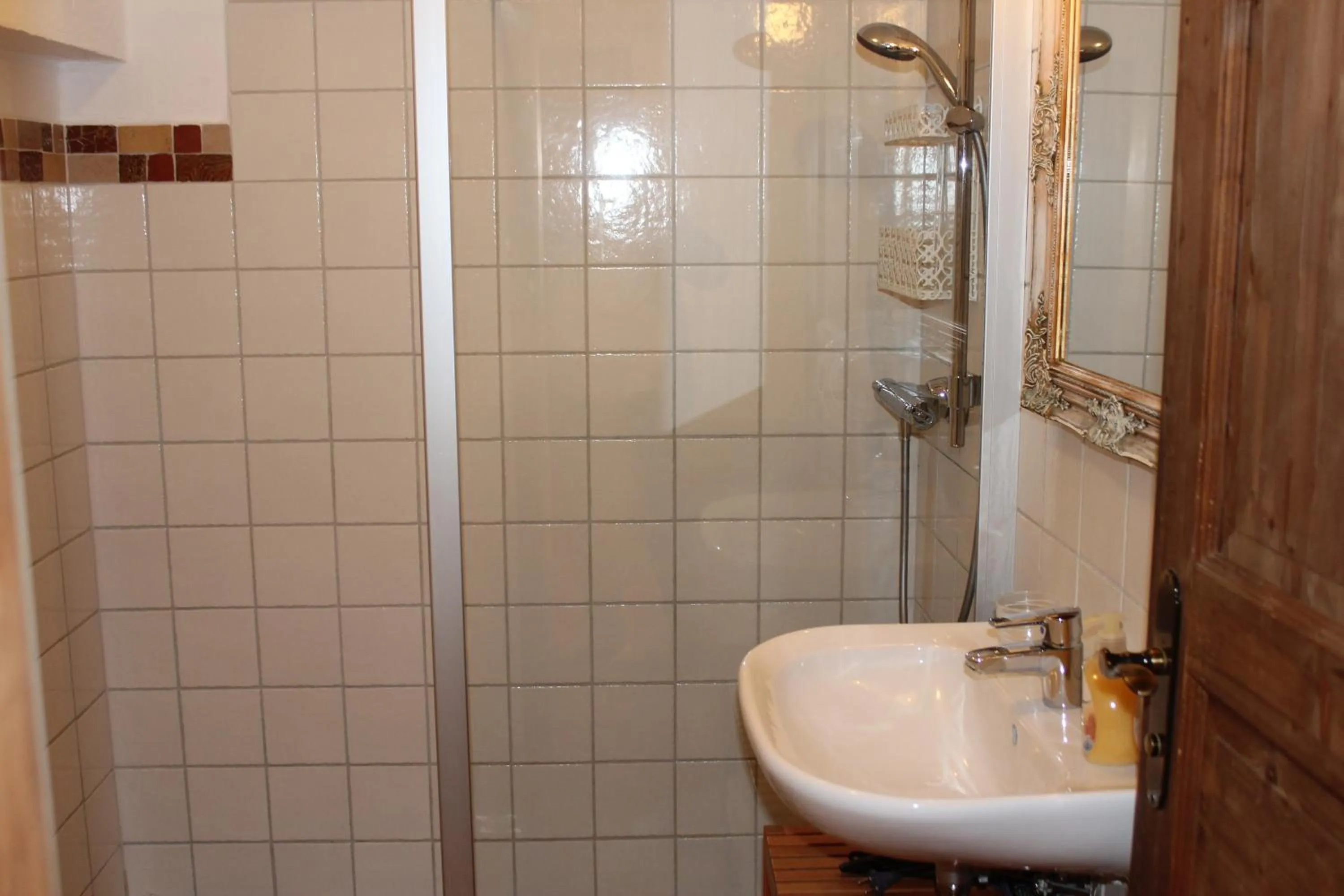 Shower in Pension Vanii, Apartments